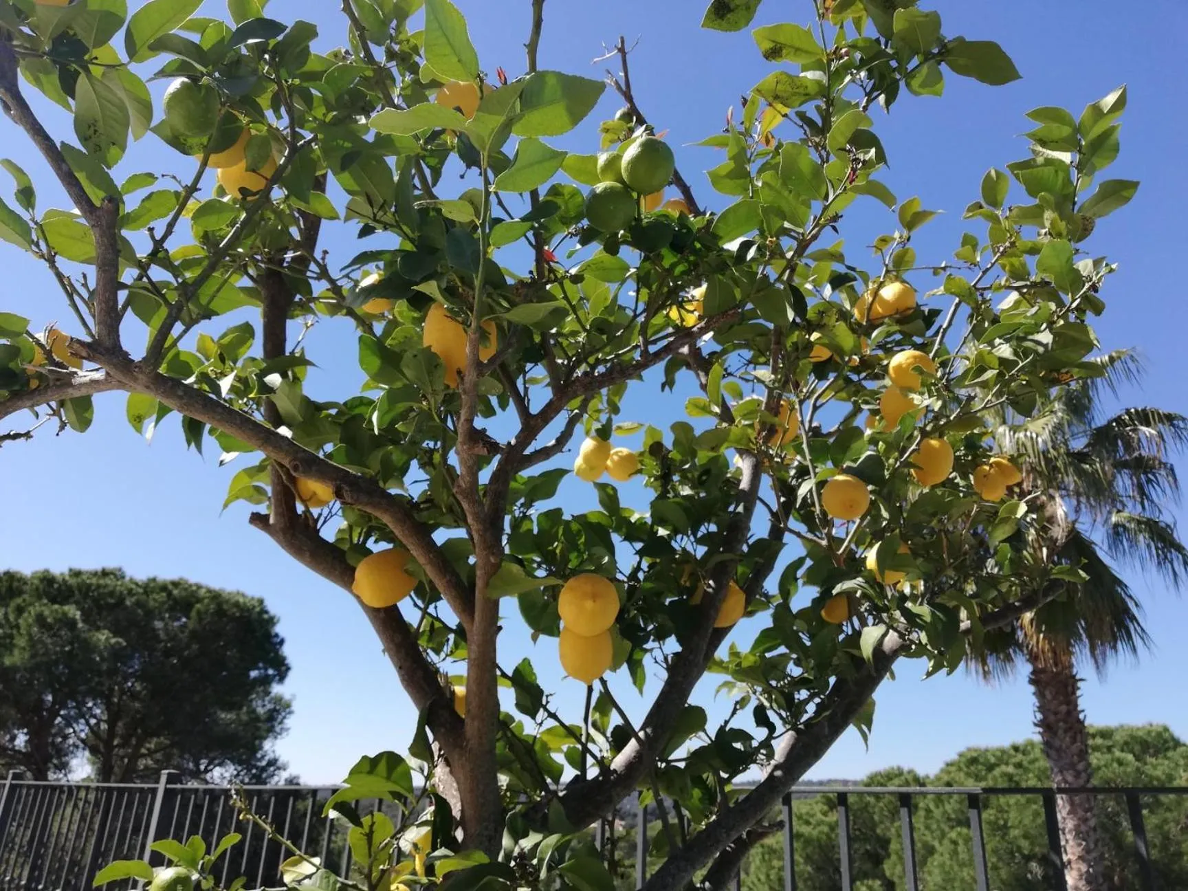 Property building in Villa Galicia