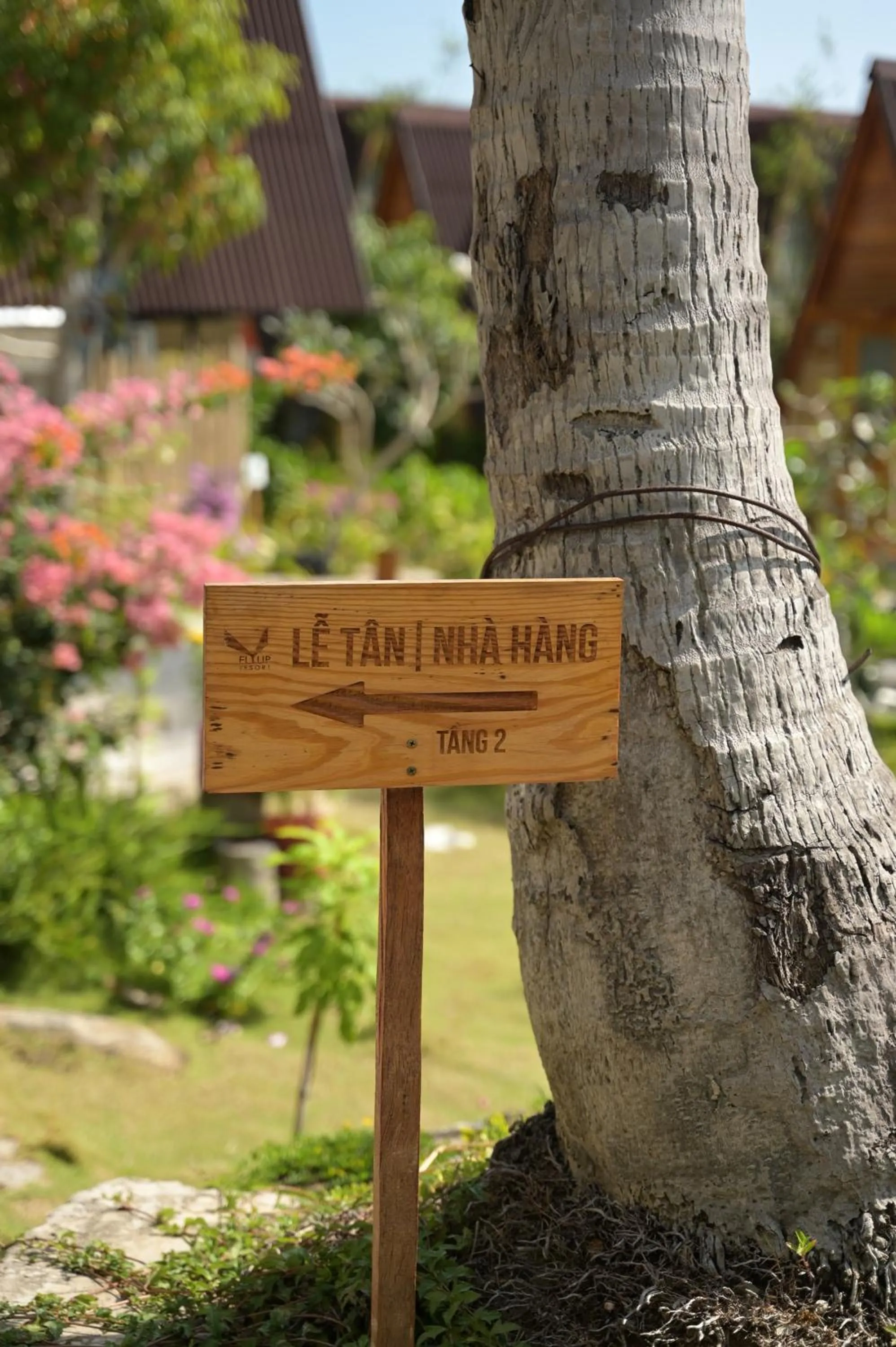 Natural landscape in Fly Up Resort