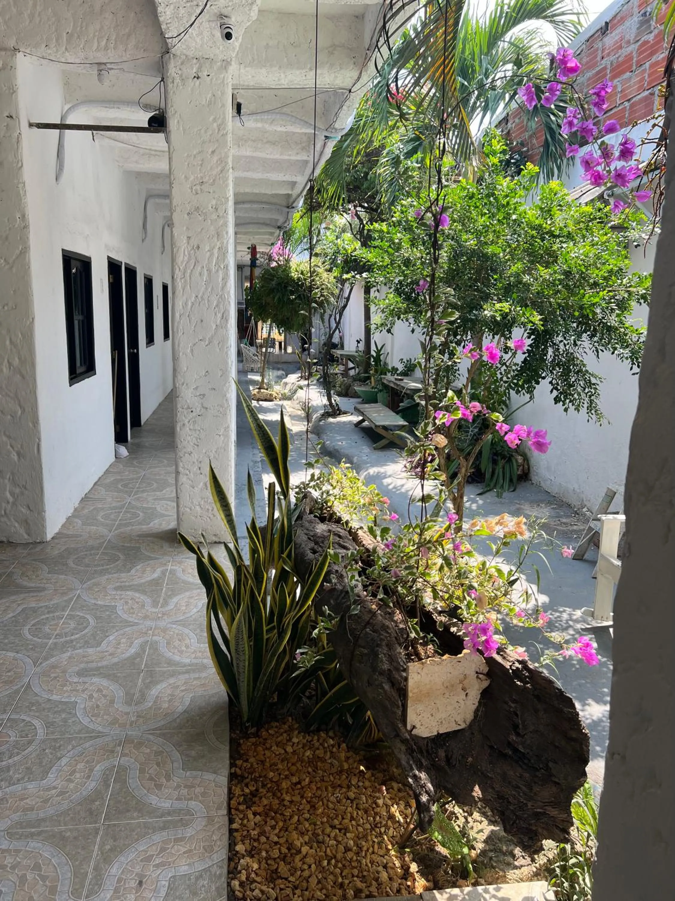 Garden in Casa Torices Real 12