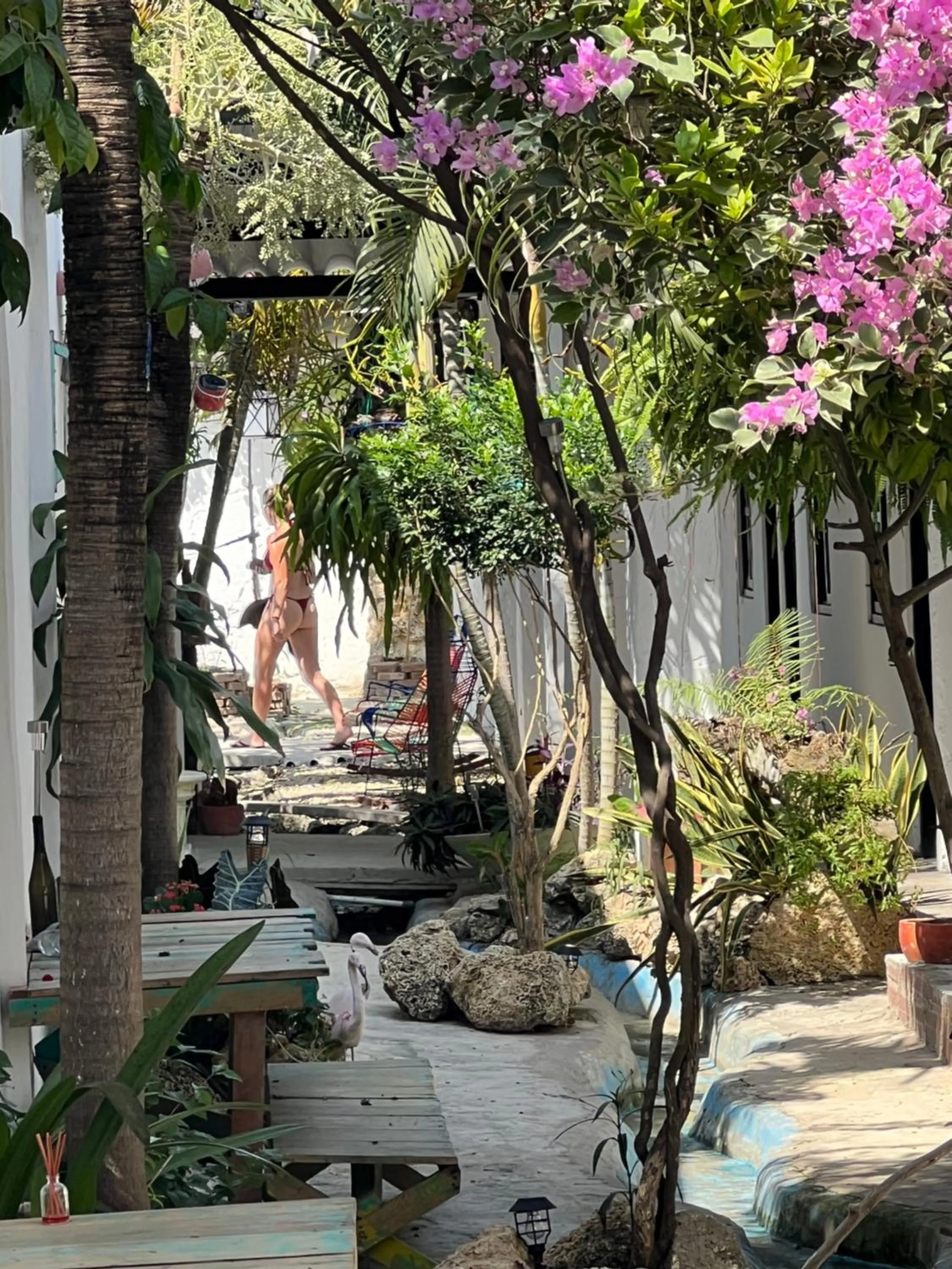 Garden in Casa Torices Real 12