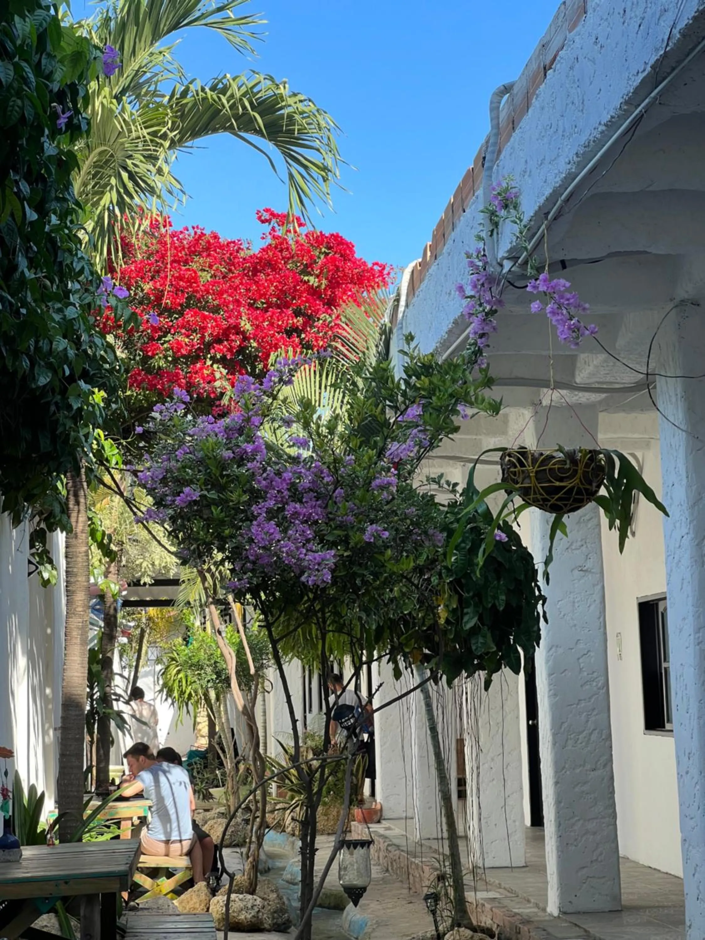 Garden in Casa Torices Real 12