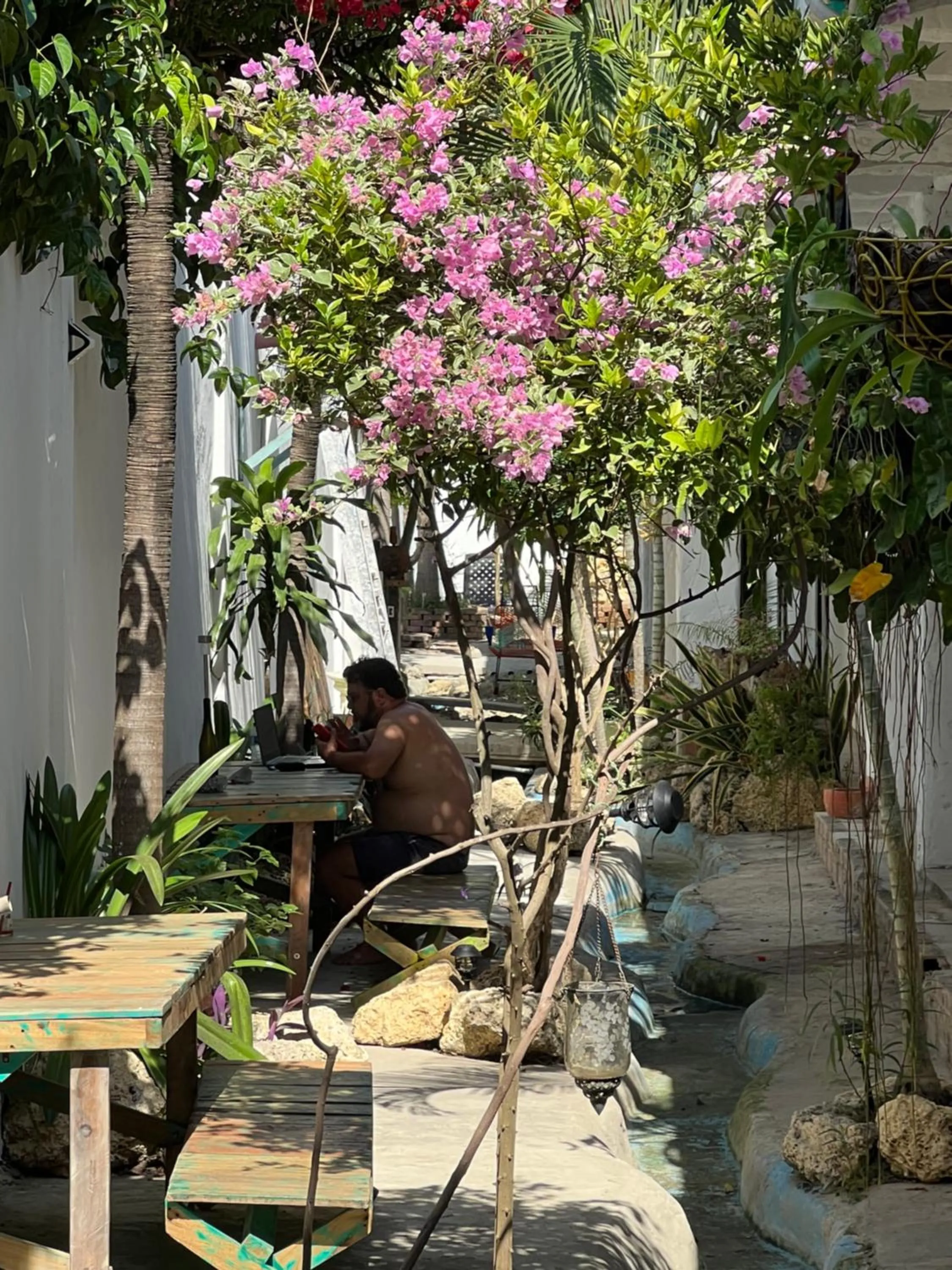 Garden view in Casa Torices Real 12