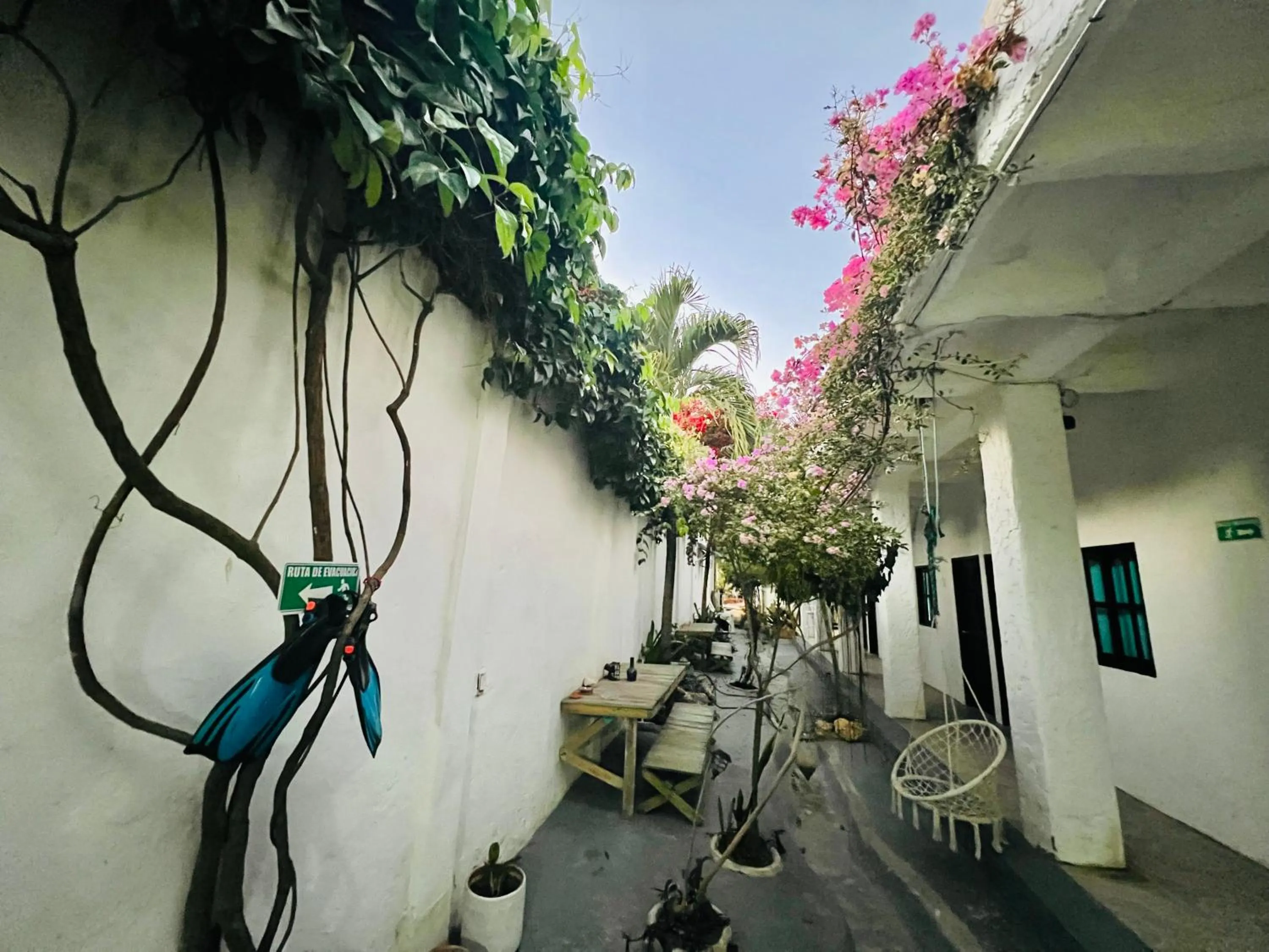 Garden in Casa Torices Real 12