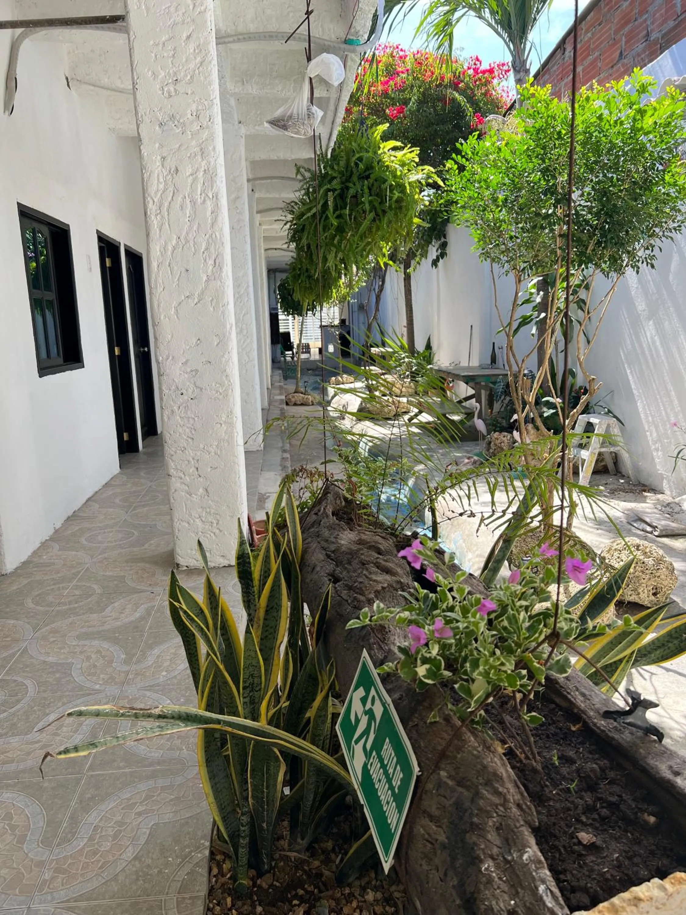 Garden in Casa Torices Real 12