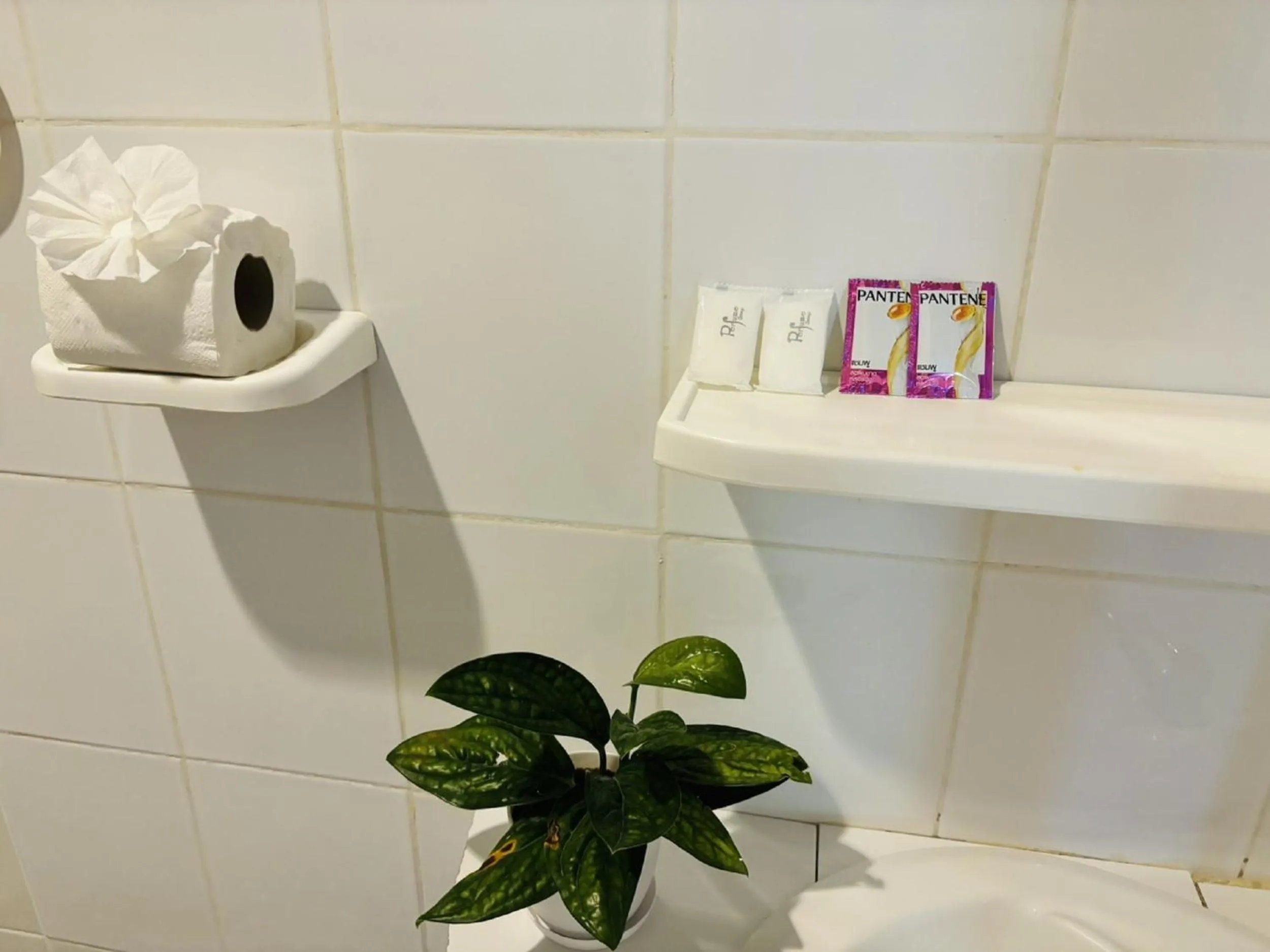 Bathroom in White House