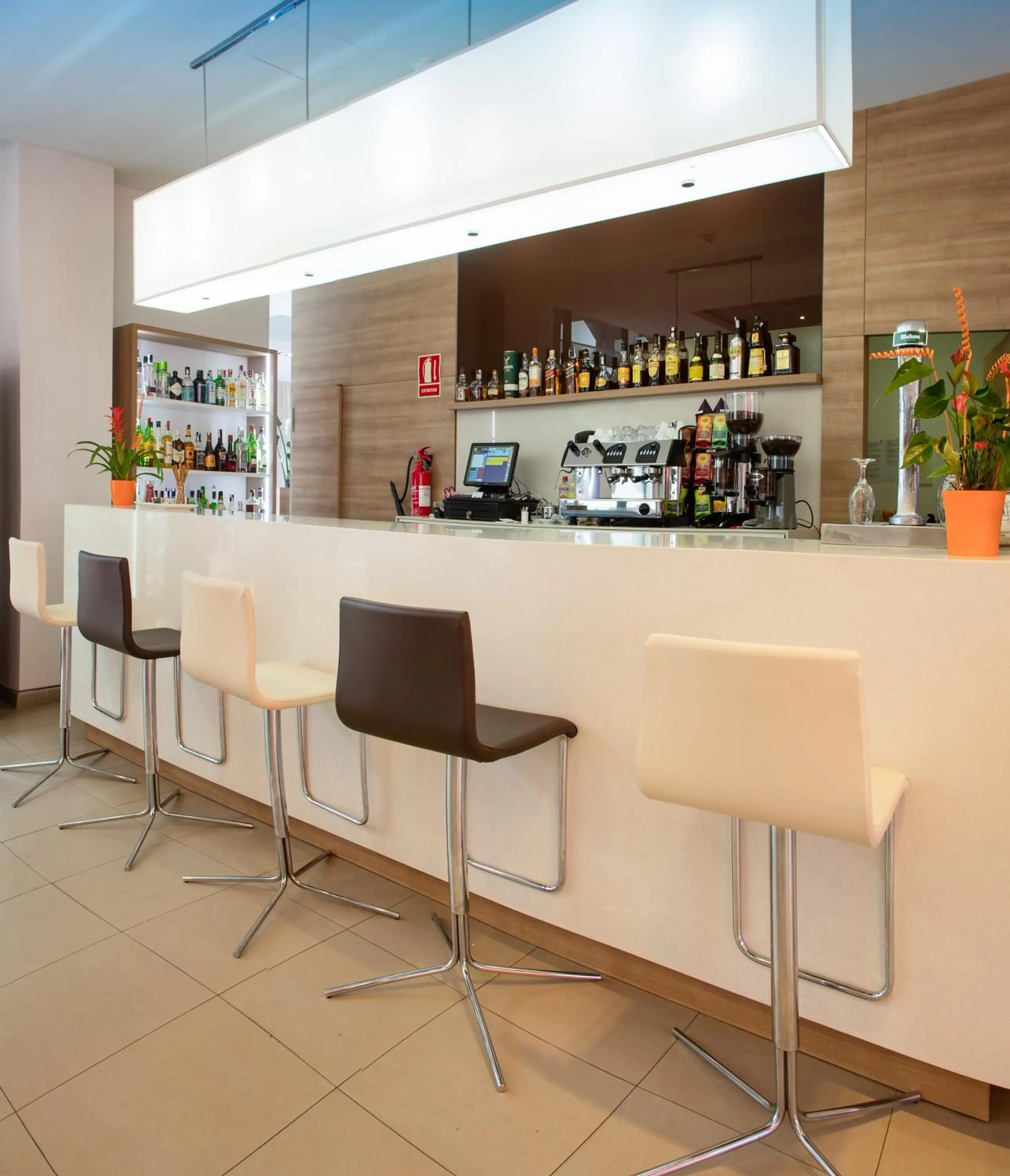 Lounge or bar in RH Don Carlos & Spa