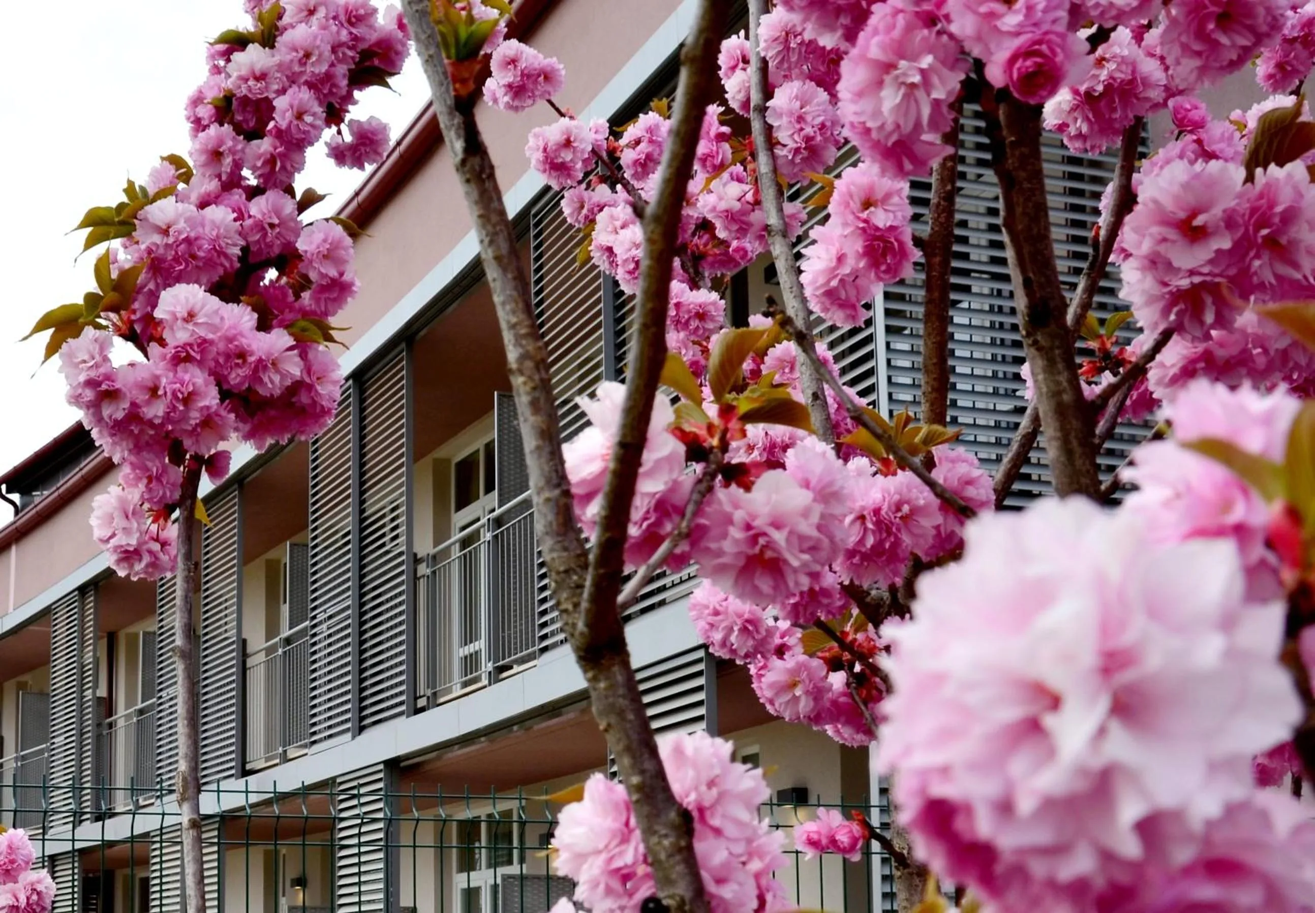 Property building in Privilege Apartments