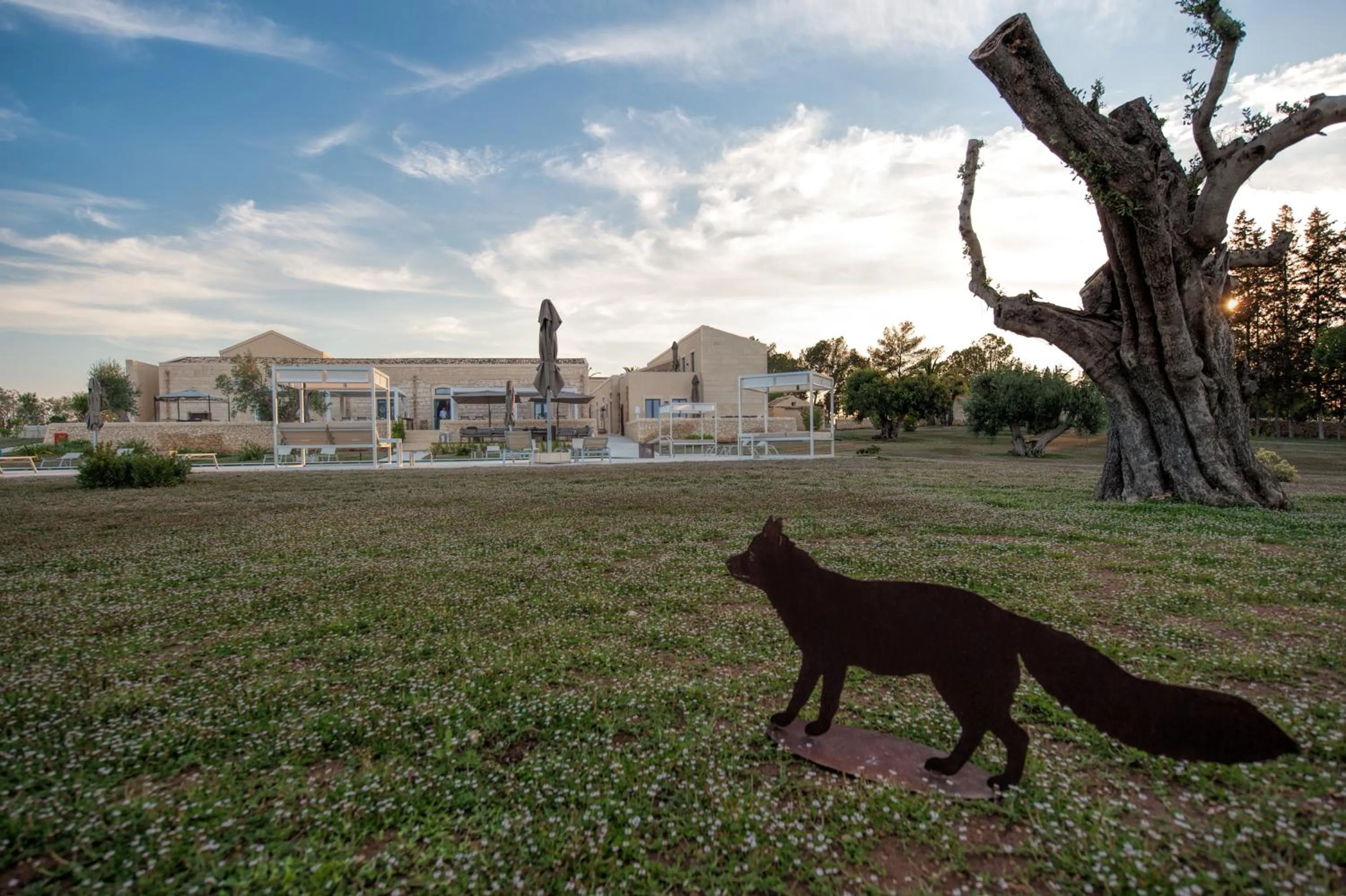 View (from property/room) in Masseria Della Volpe