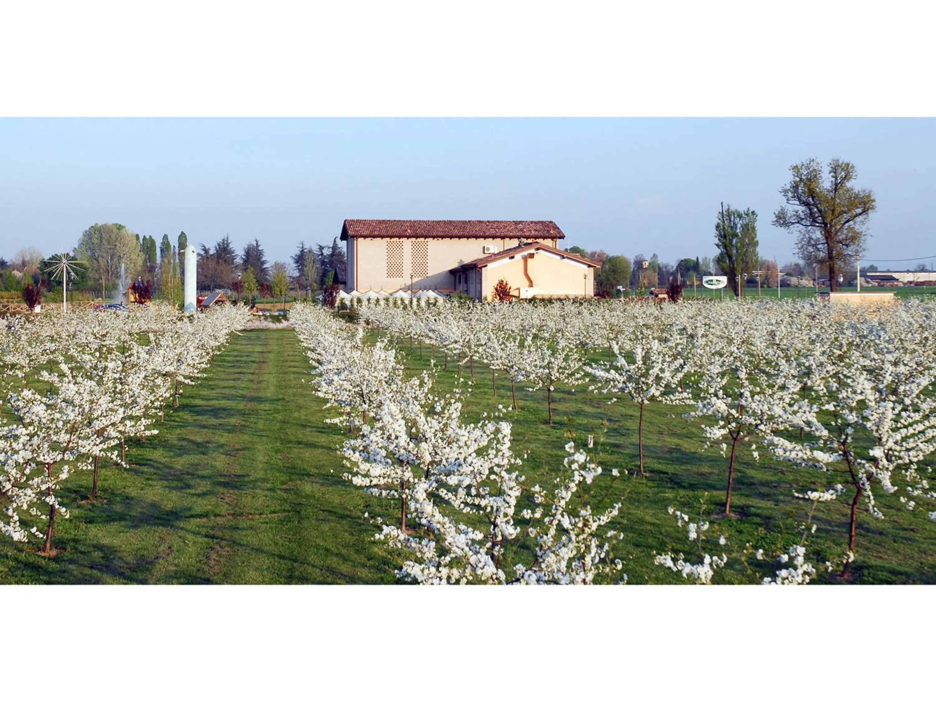 Area and facilities in Hotel del Rio Srl - RISTORANTE e Azienda agricola