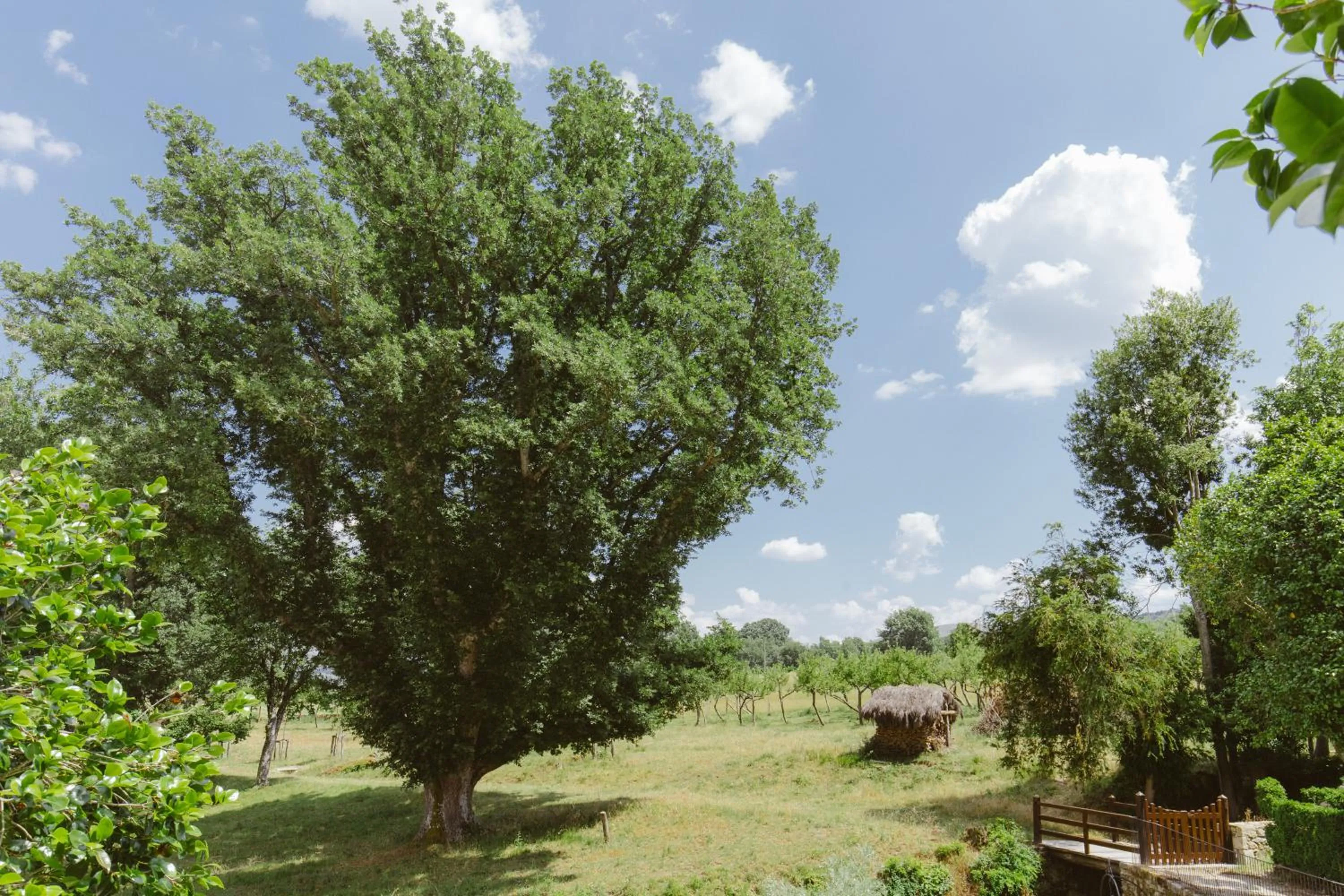 Garden view in Pazo da Pena Manzaneda