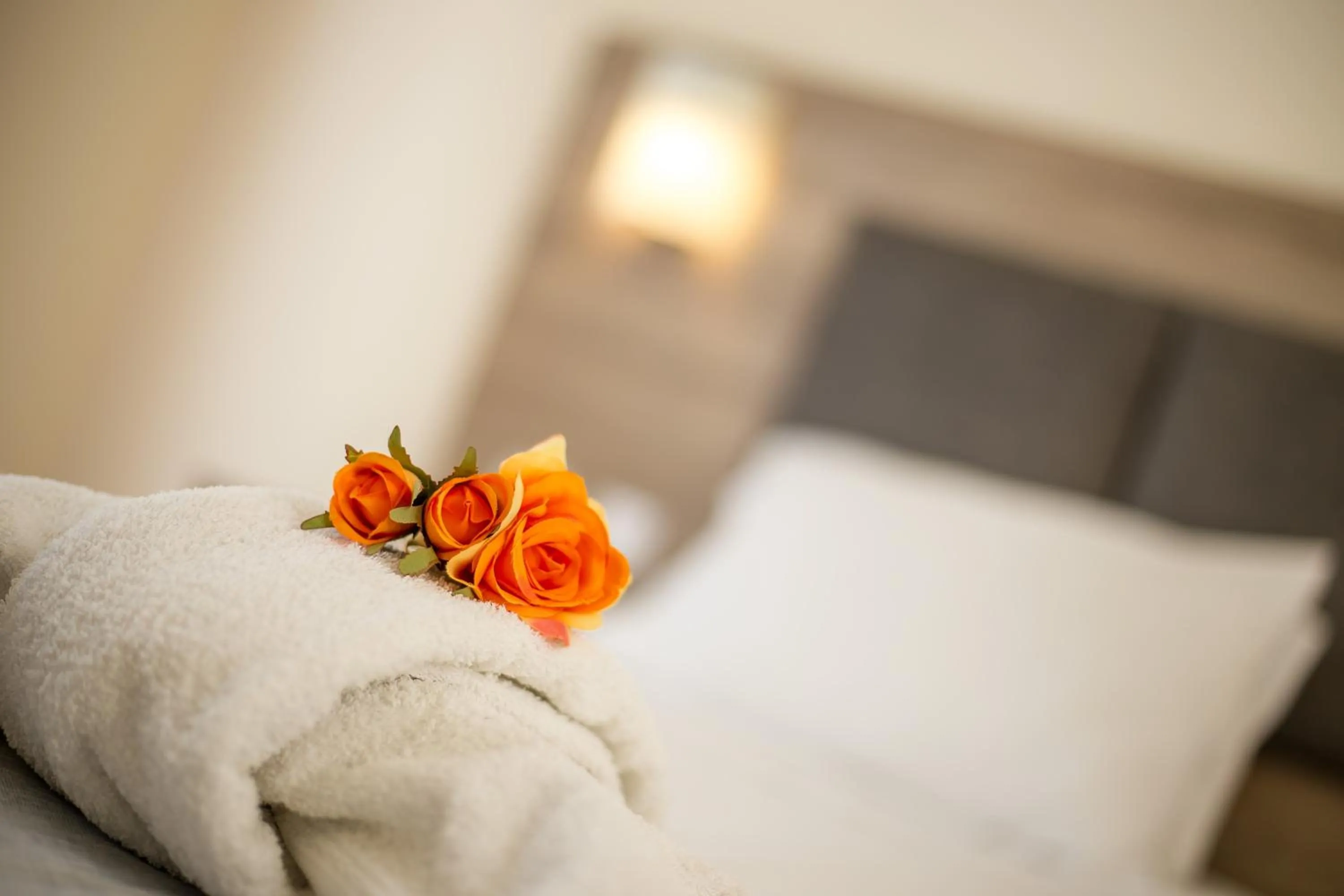 Bed in Patricia Suites