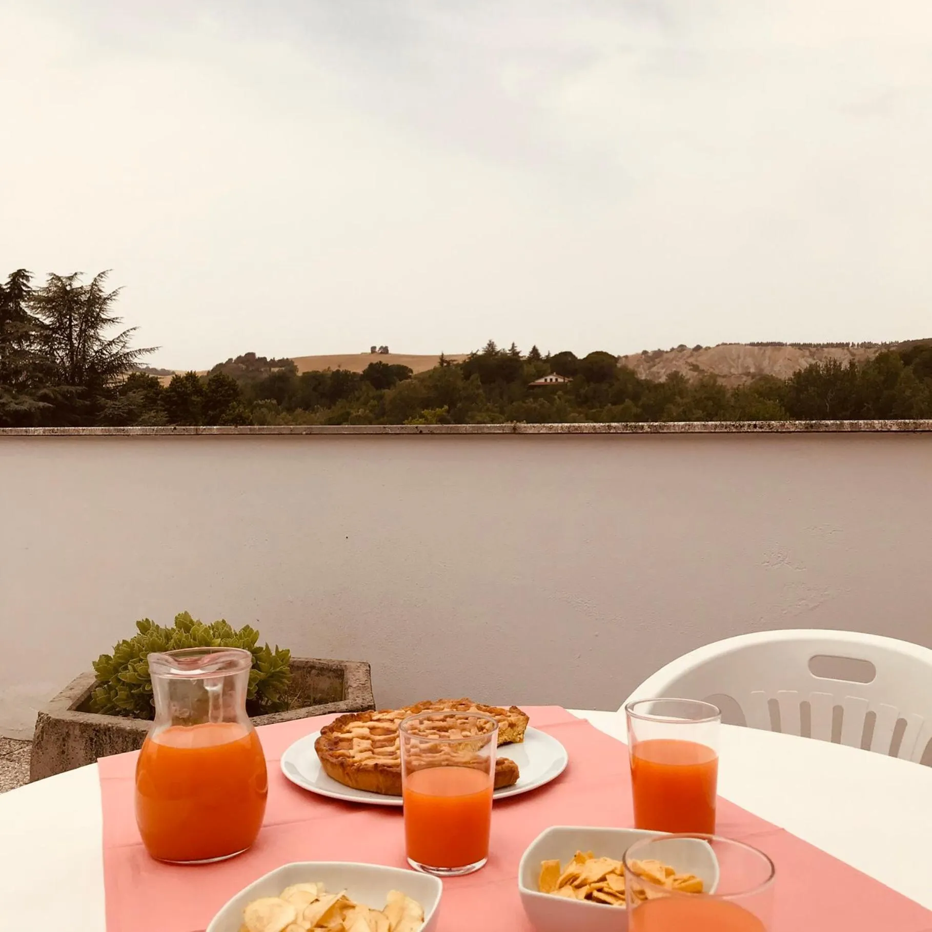 Balcony/Terrace in Hotel Senio