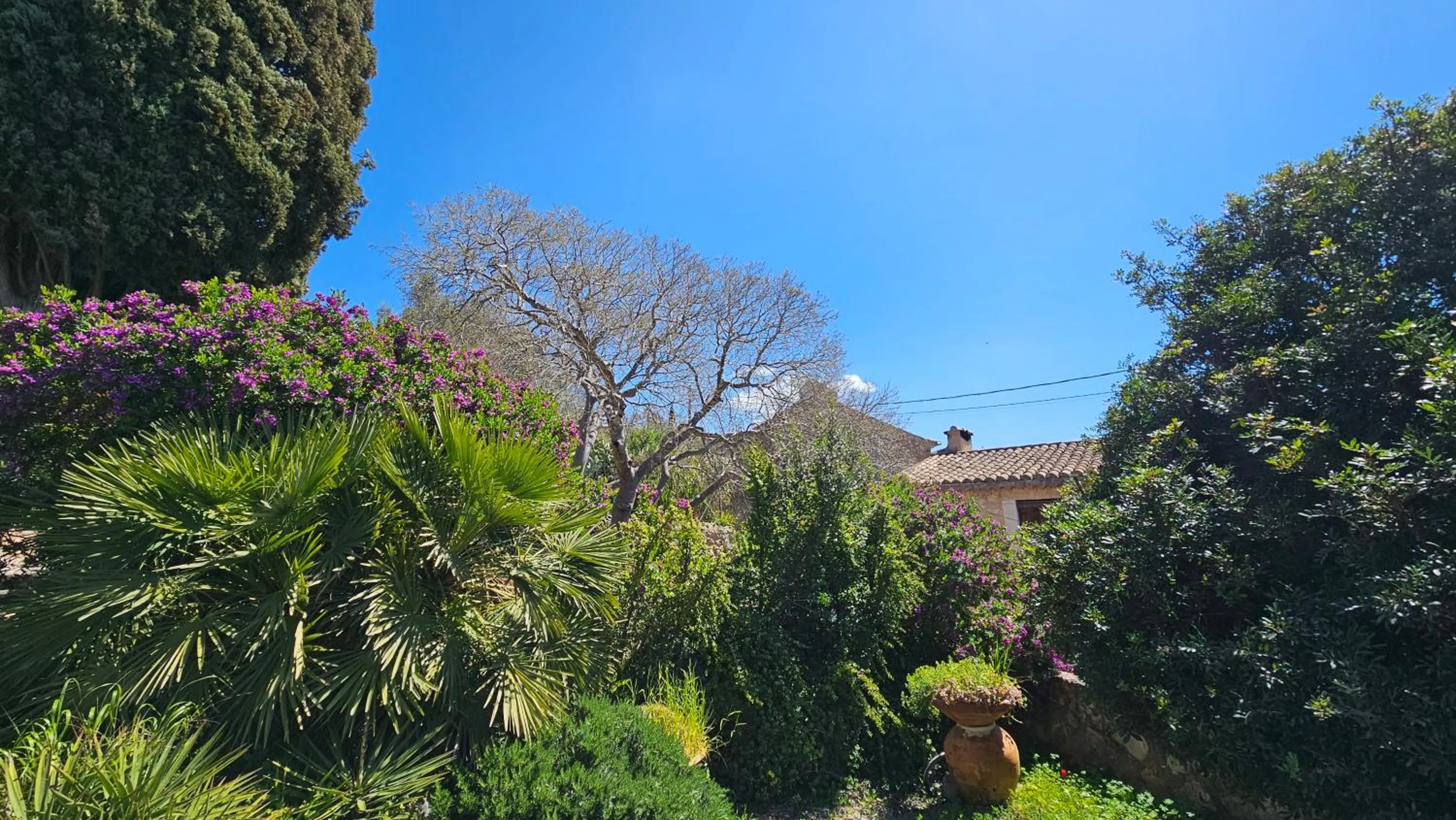 Day in Asis de Marratxinet Turismo de Interior