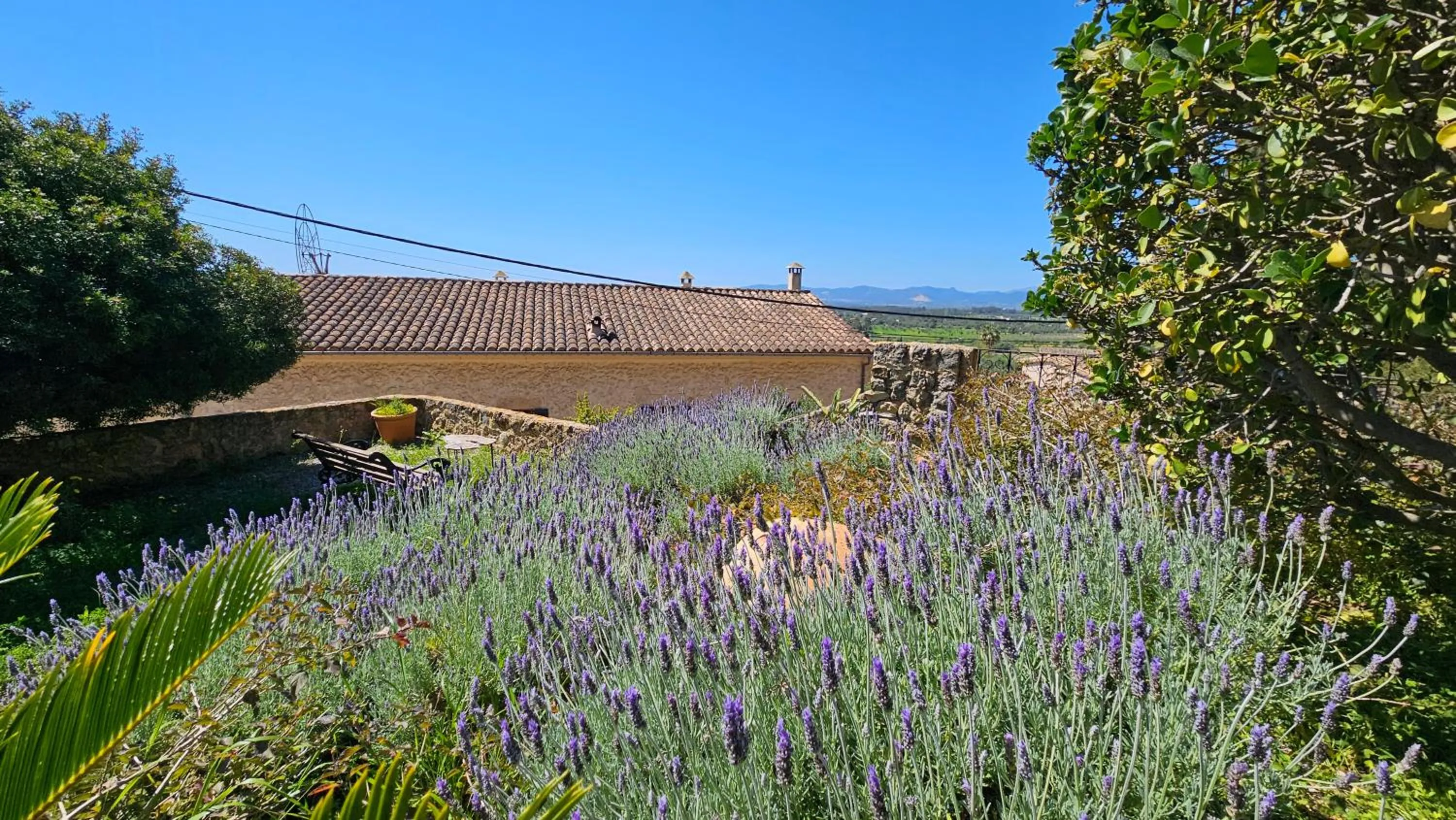 Day in Asis de Marratxinet Turismo de Interior