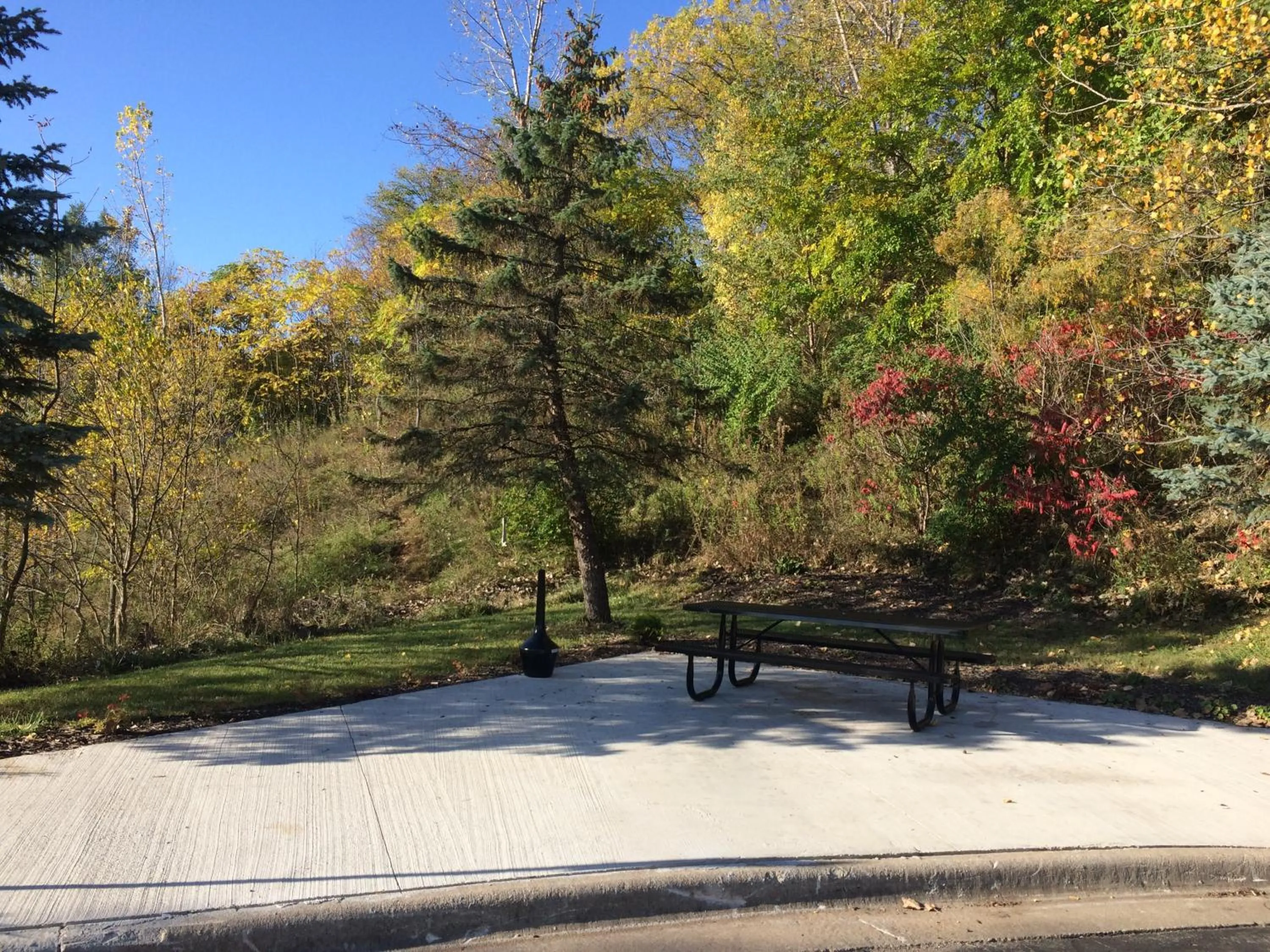 On site in Savanna Inn & Suites