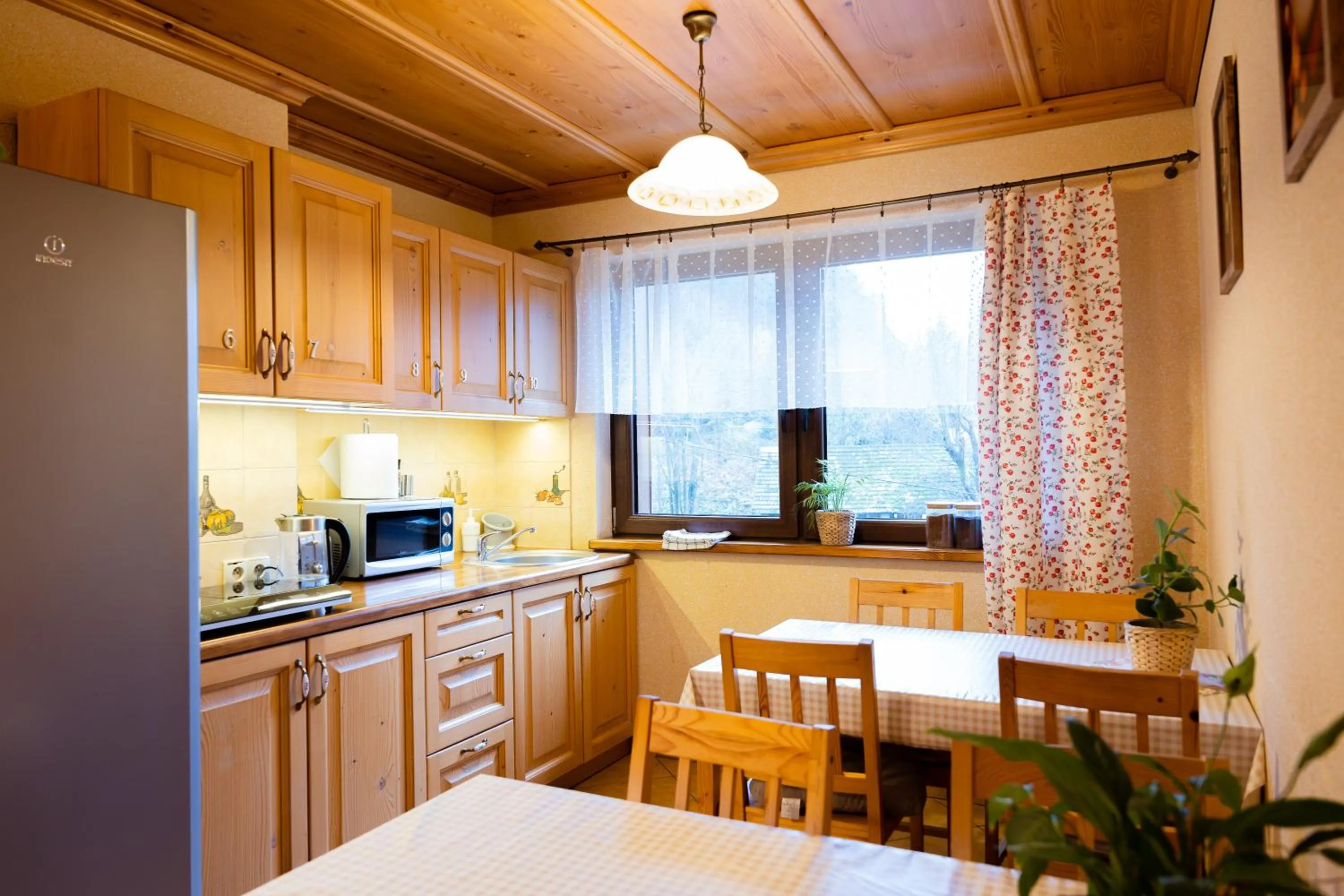 Kitchen or kitchenette in Willa jak u Babci