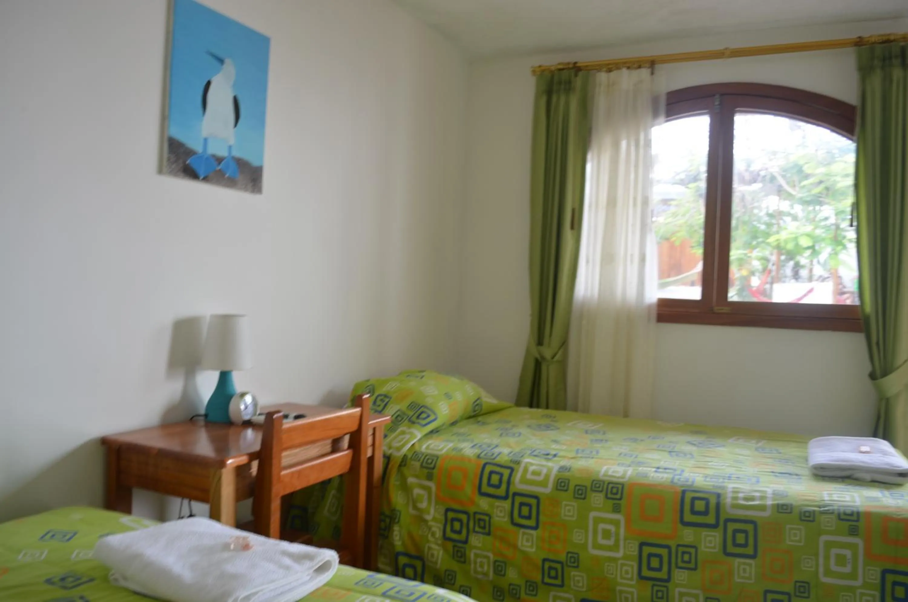 Bed in Hostal White House Galapagos