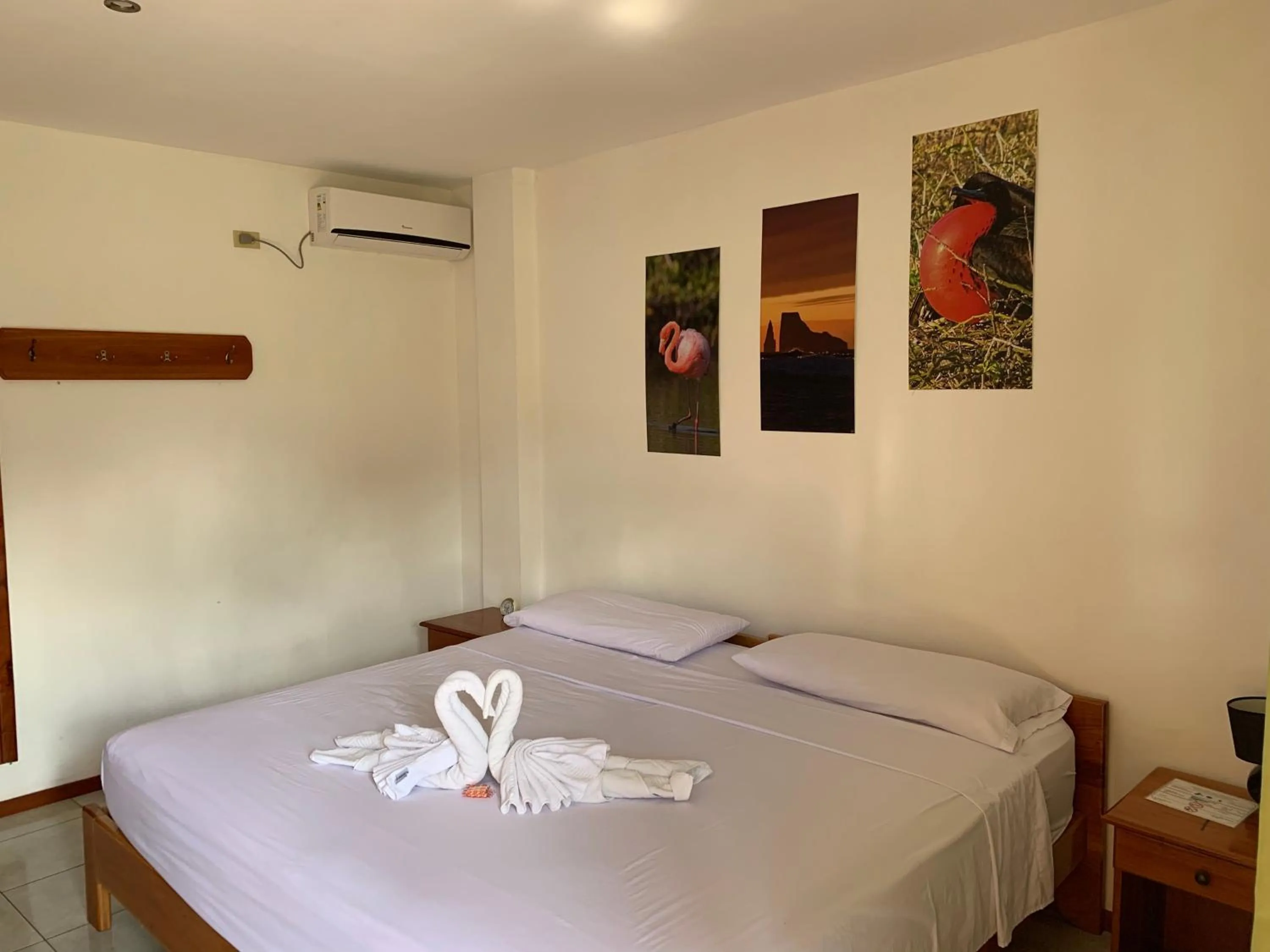 Bed in Hostal White House Galapagos