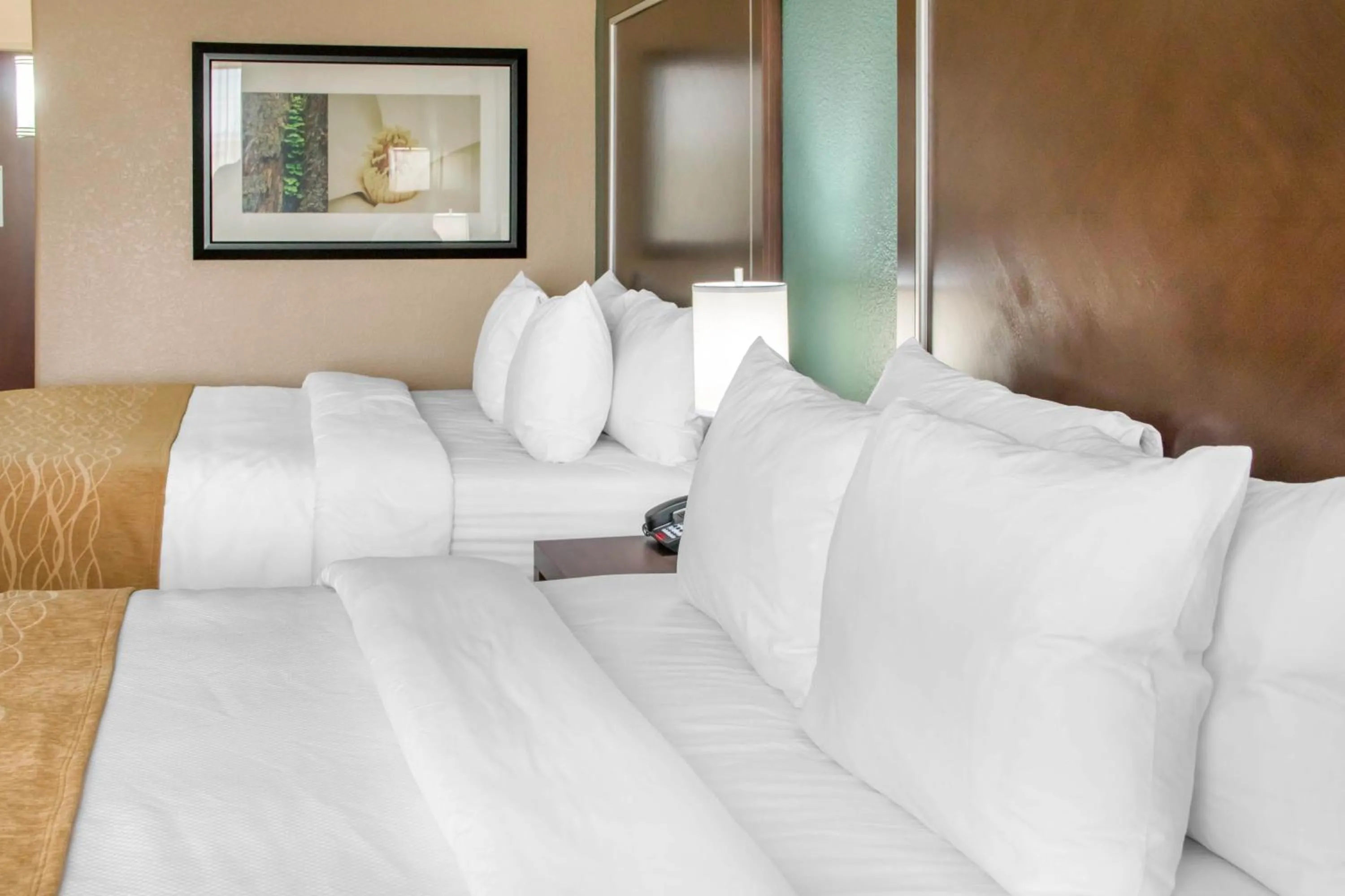 Bed in Comfort Inn & Suites San Marcos near Outlet Mall