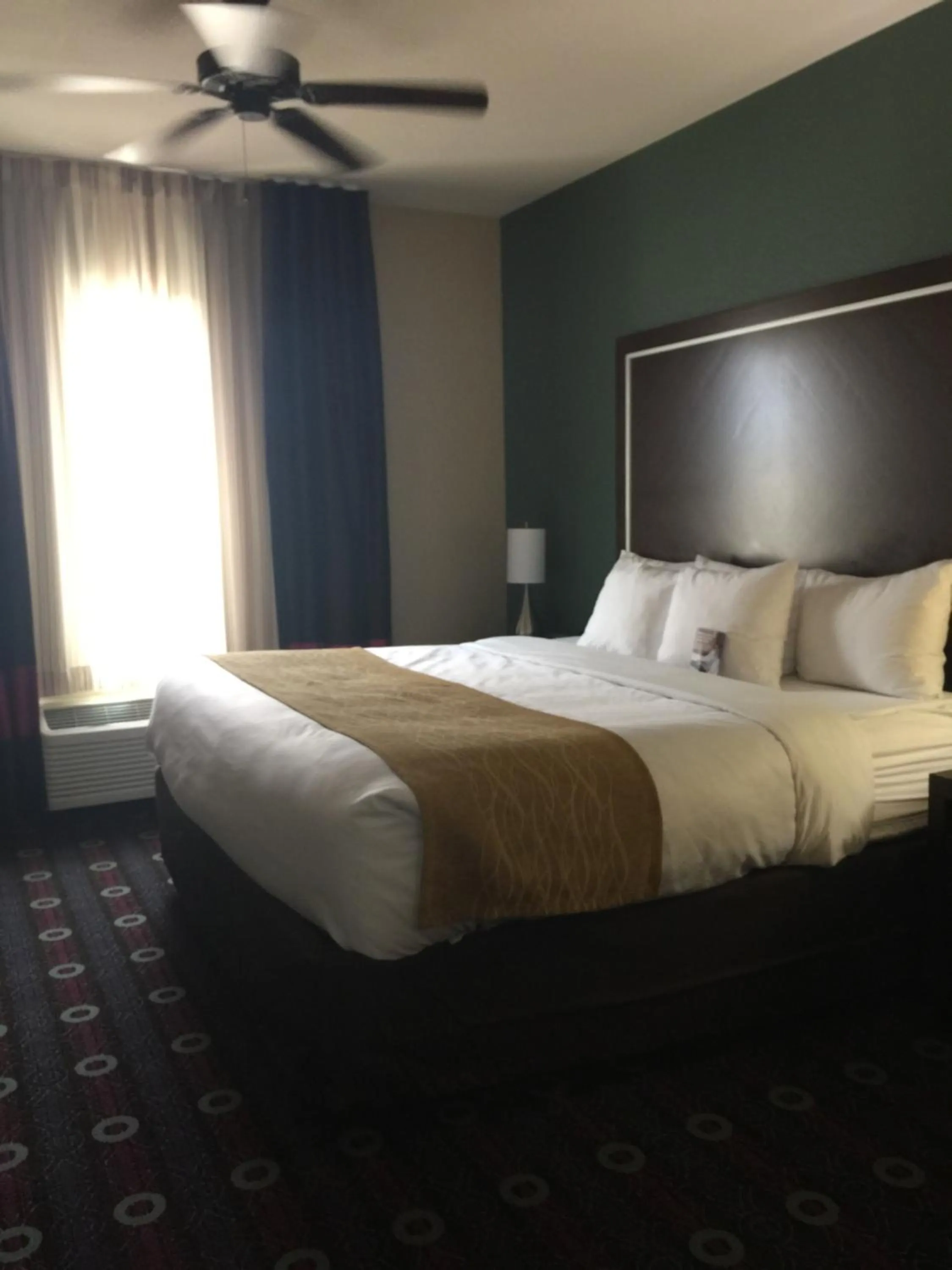 Day, Bed in Comfort Inn & Suites San Marcos near Outlet Mall