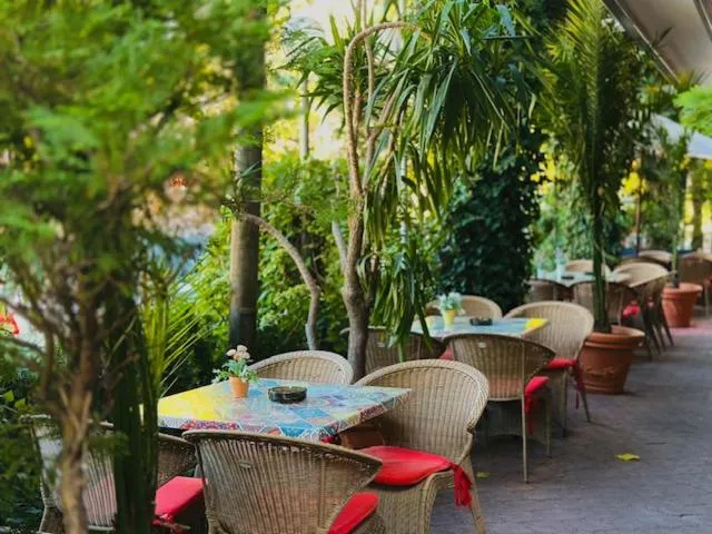 Garden view in Hotel Berito