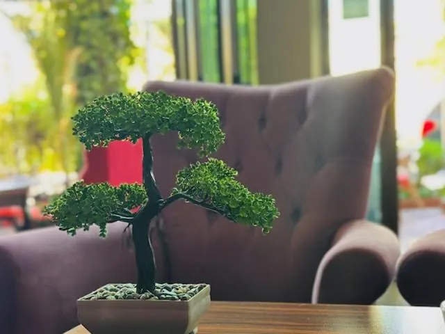 Garden view in Hotel Berito