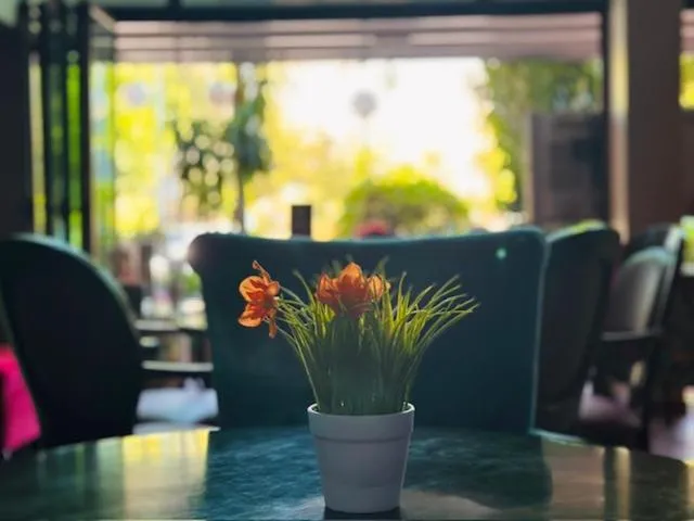 Garden in Hotel Berito