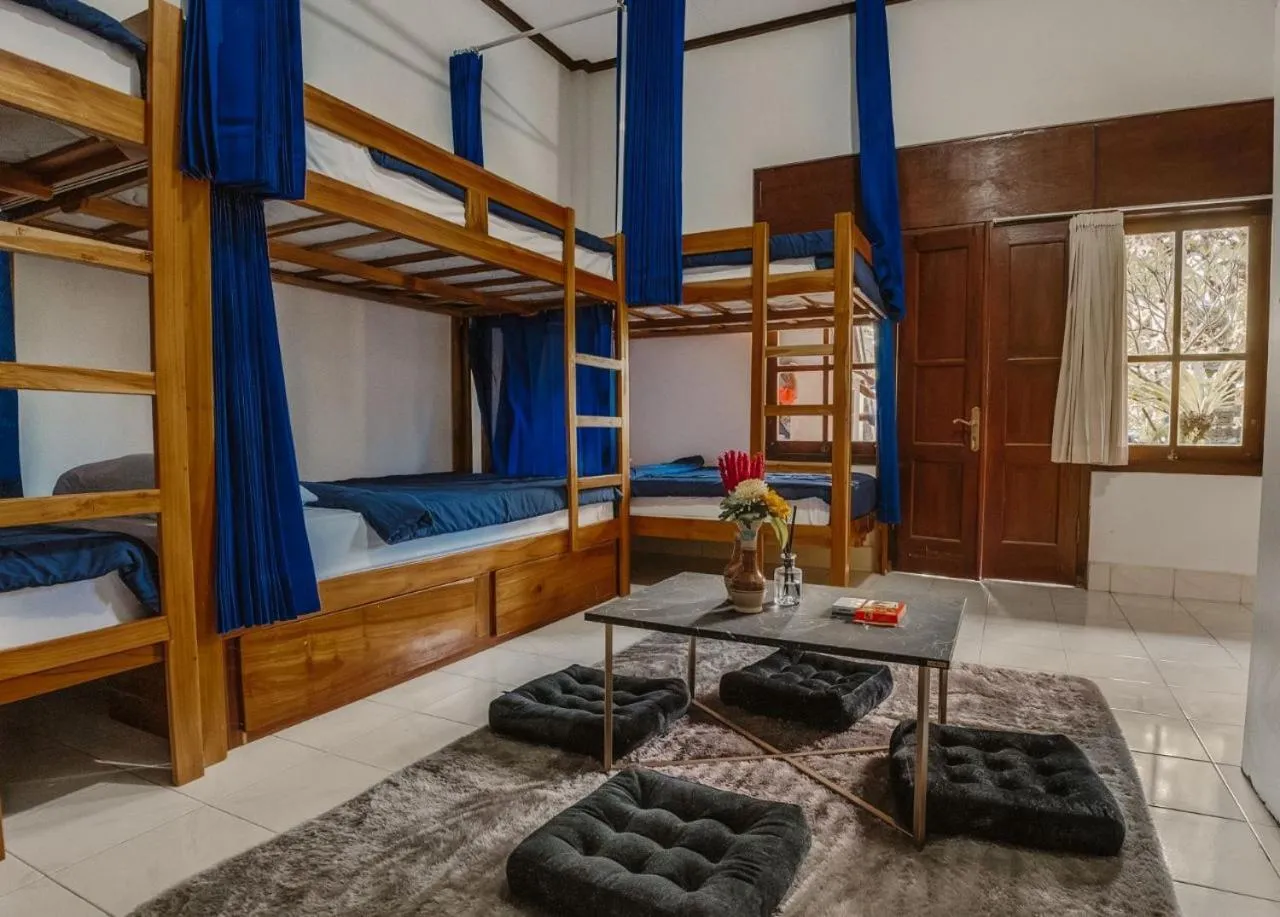 bunk bed, Bed in Ubud Backpacker Hostel