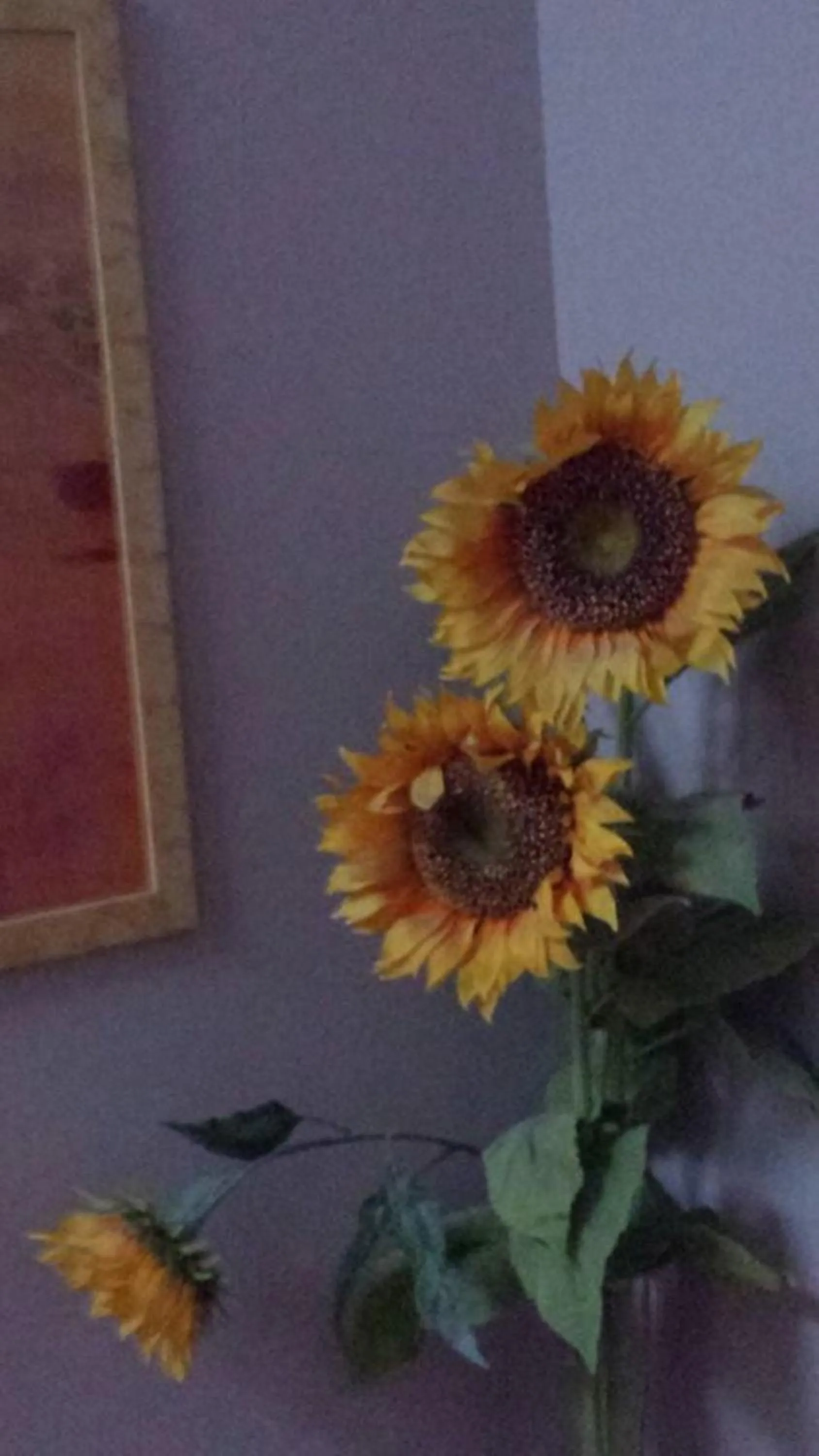 Lobby or reception in Hotel Main Street