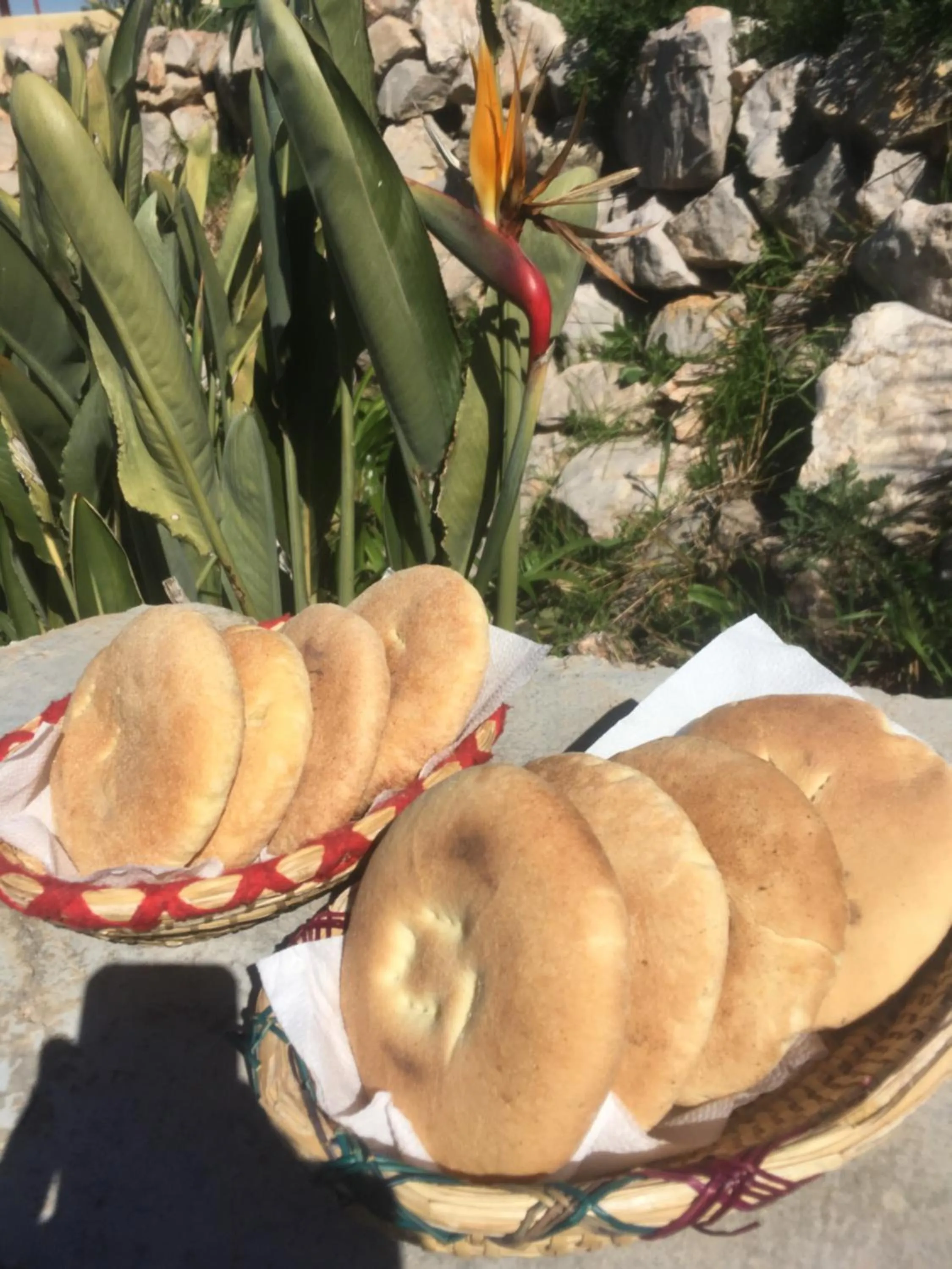 Activities in Dar El Mandar - Ferme & Table d'Hôte Berbère