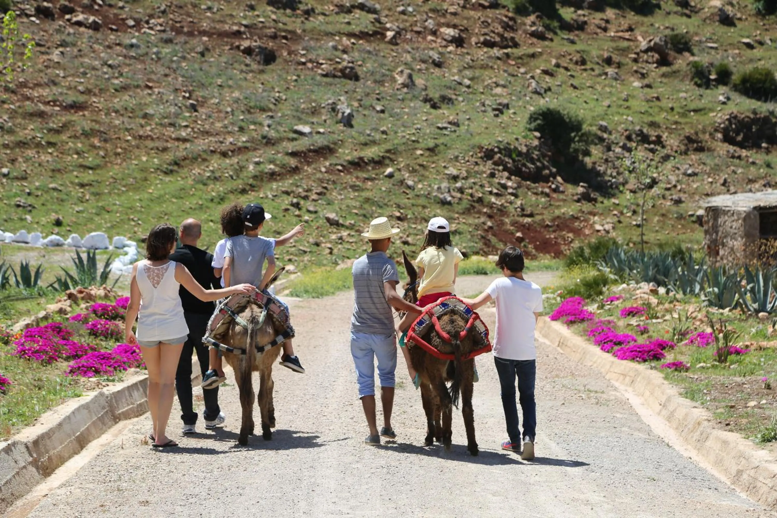 Hiking in Dar El Mandar - Ferme & Table d'Hôte Berbère