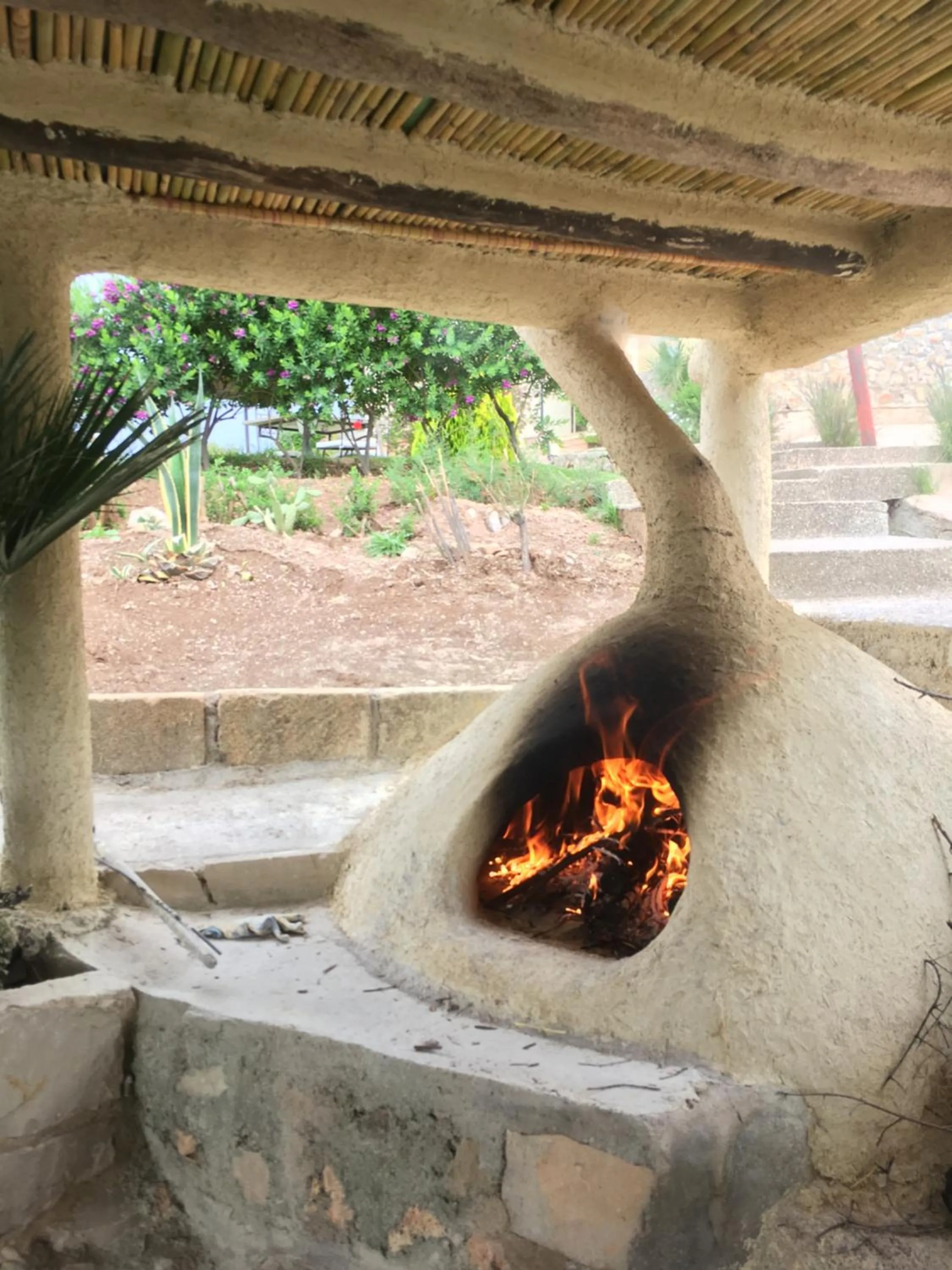 Activities in Dar El Mandar - Ferme & Table d'Hôte Berbère