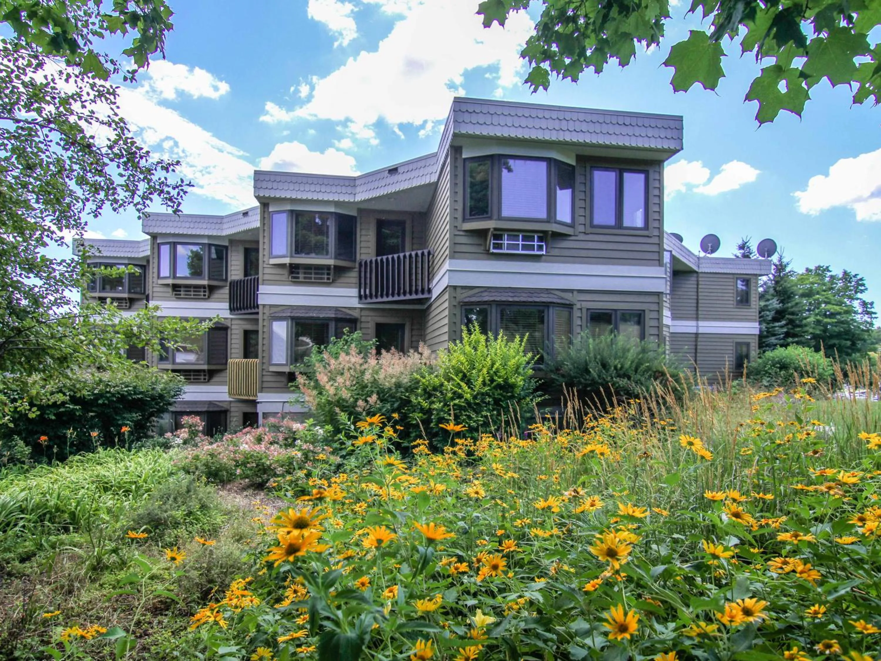 Property building in Crystal Mountain