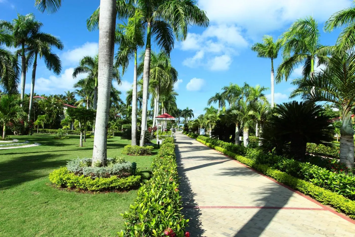 Spring in Bahia Principe Grand La Romana - All Inclusive