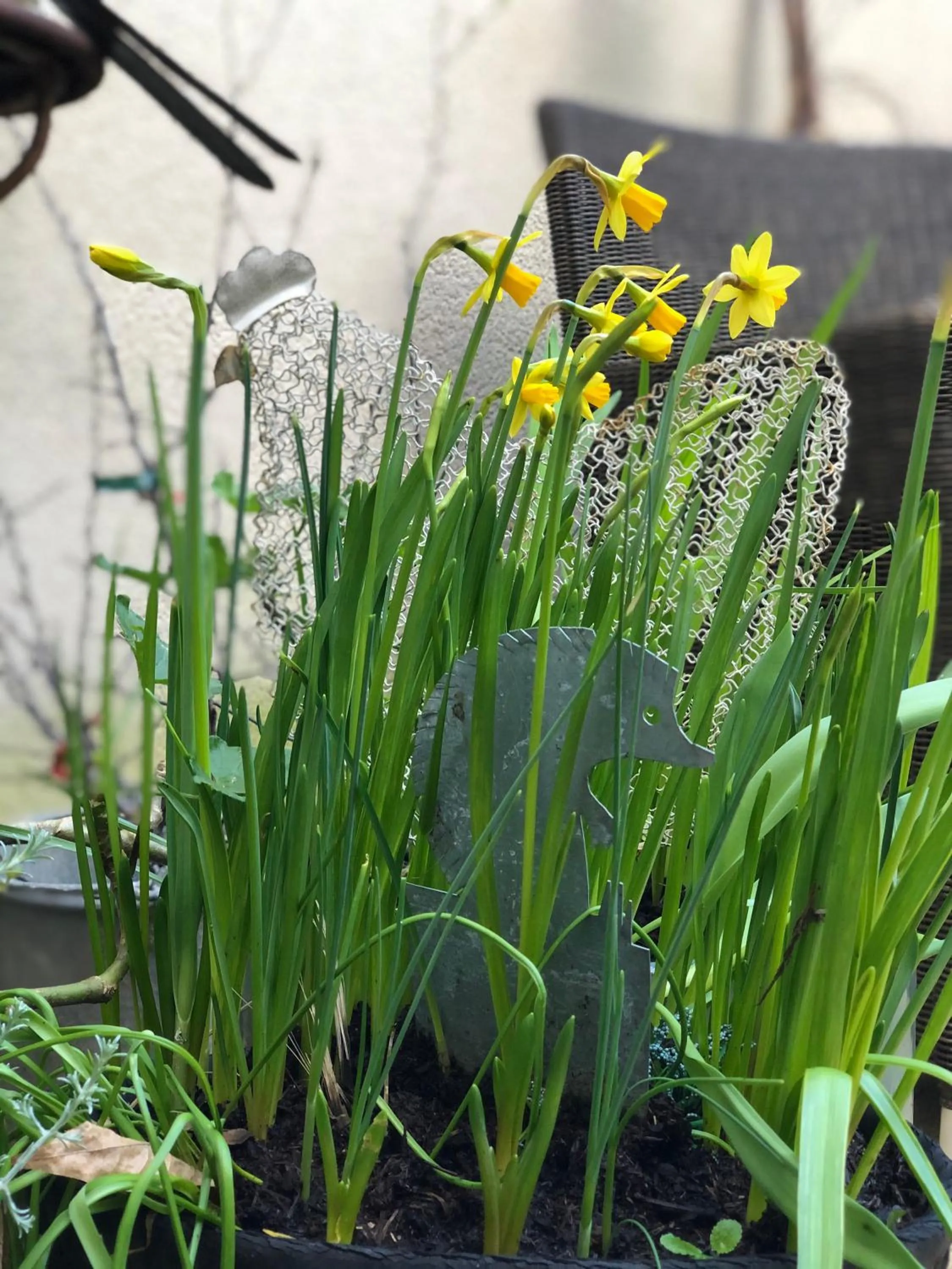Patio in La Mancelle - Chambre d'hôtes