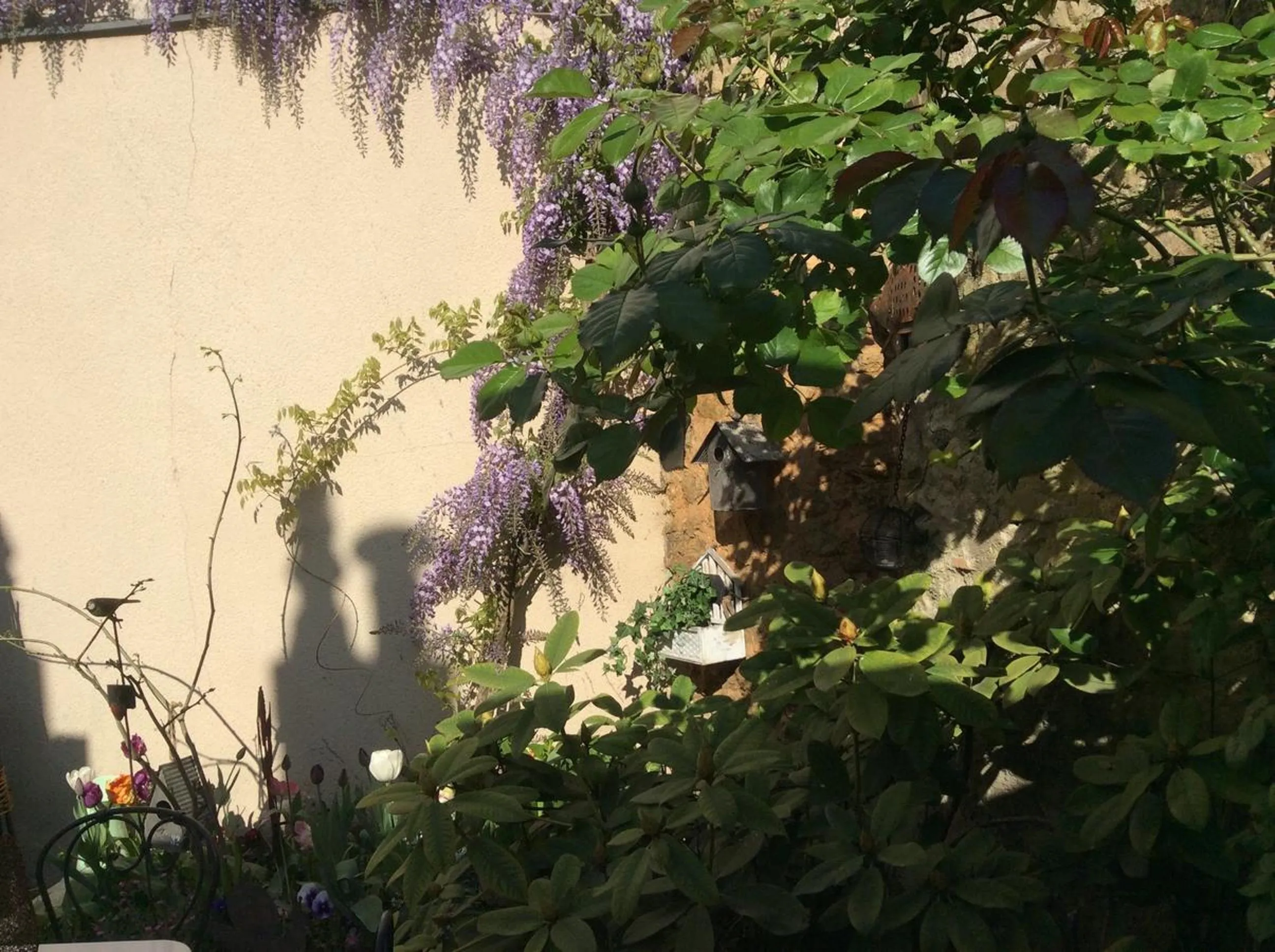 Garden in La Mancelle - Chambre d'hôtes