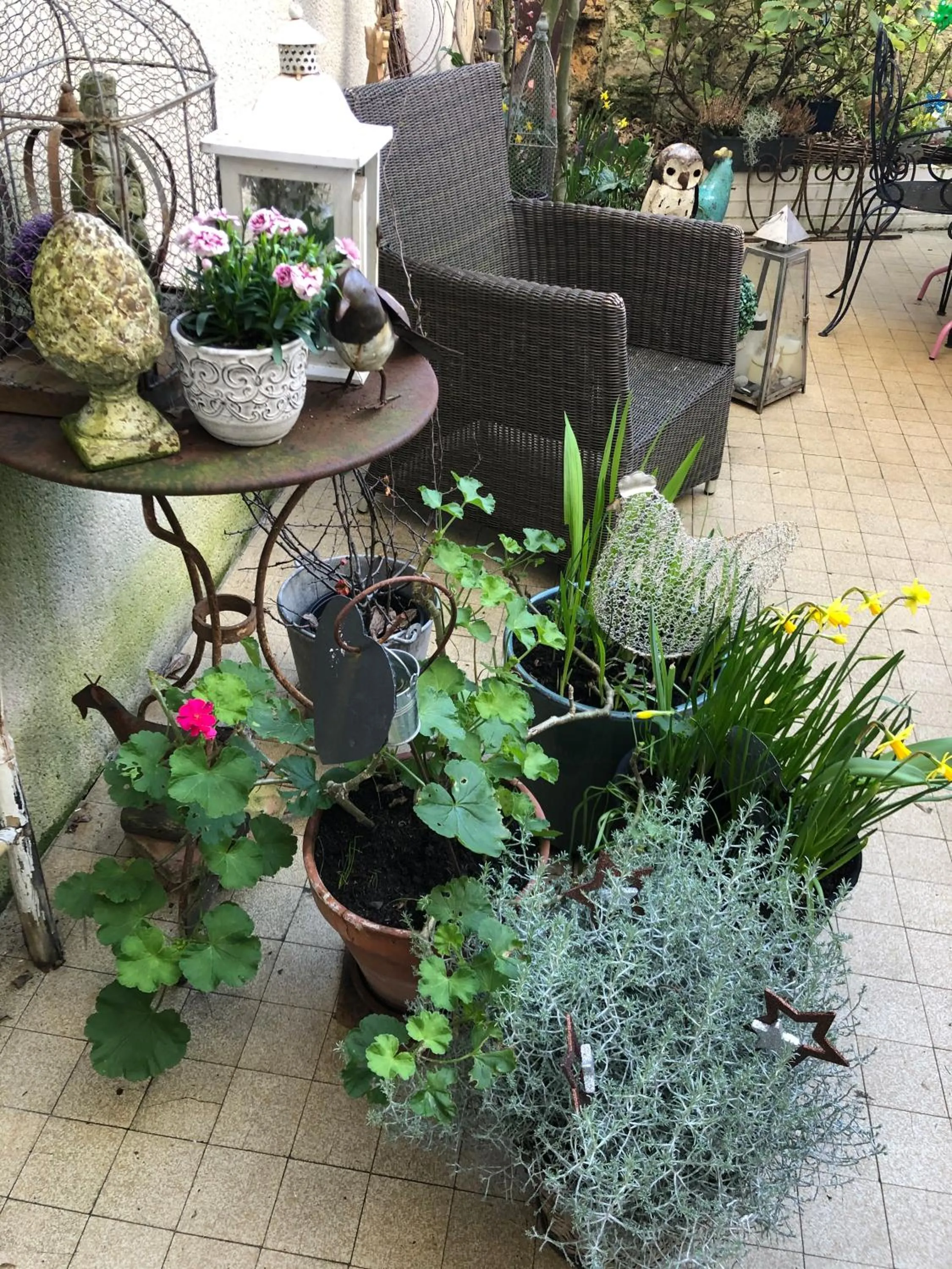 Garden in La Mancelle - Chambre d'hôtes