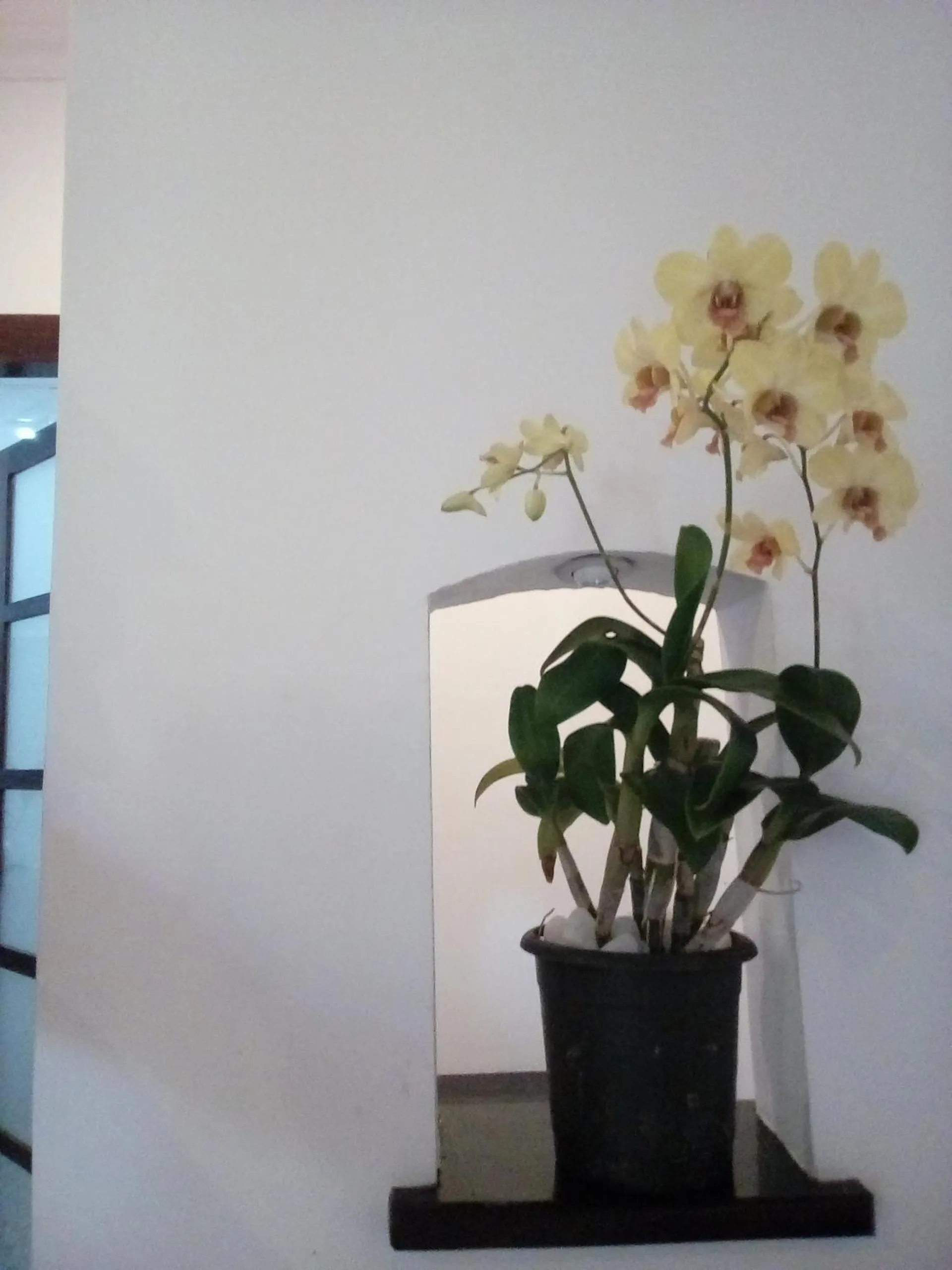 Property building in Marari Umapathi Beach Villa