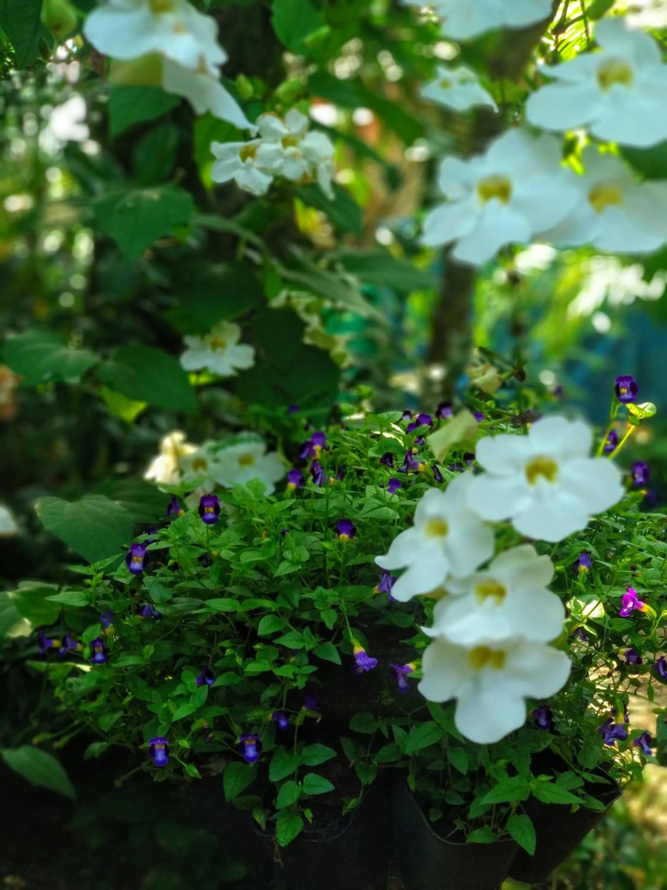 Marari Umapathi Beach Villa