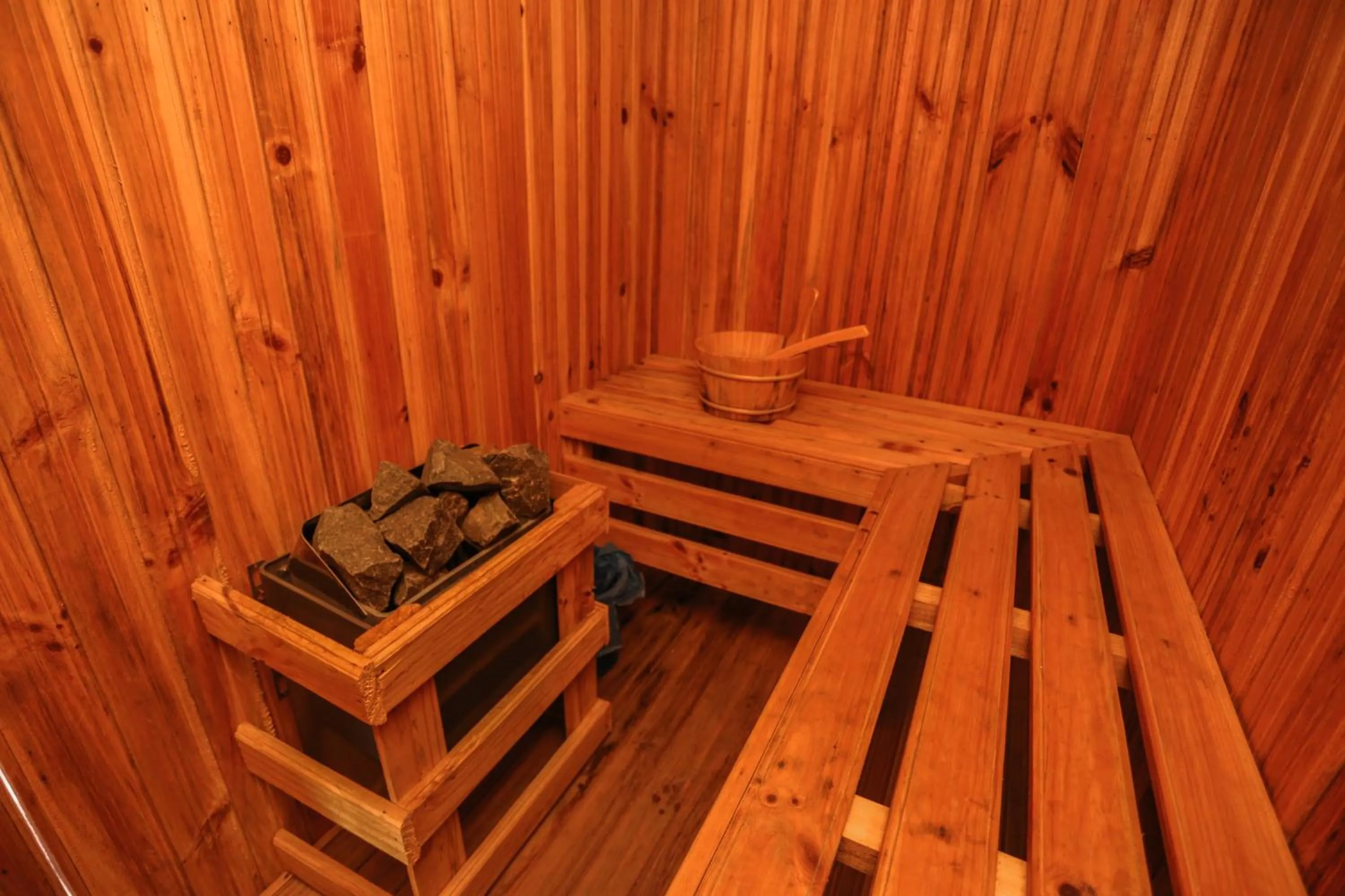 Sauna in Nirvana Home