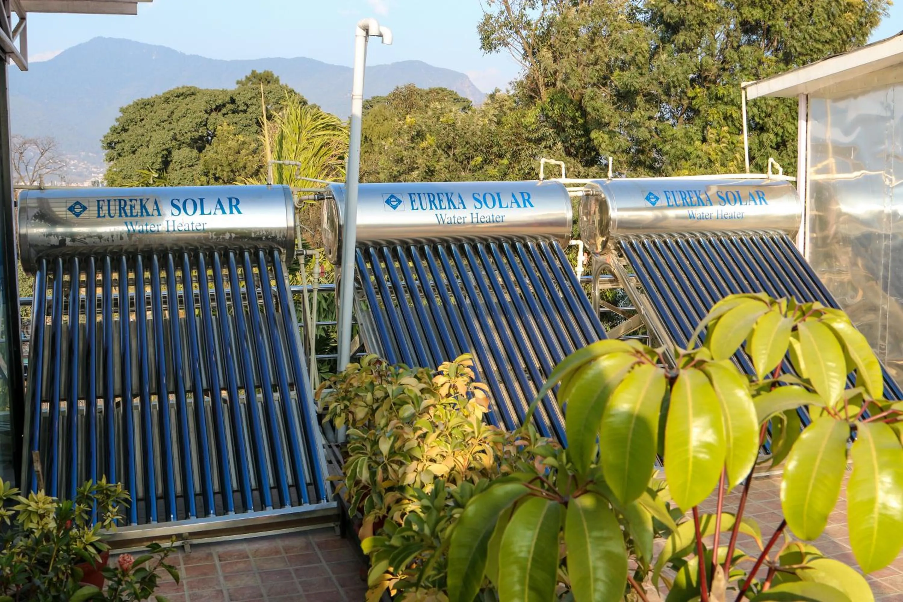 Other in Nirvana Home