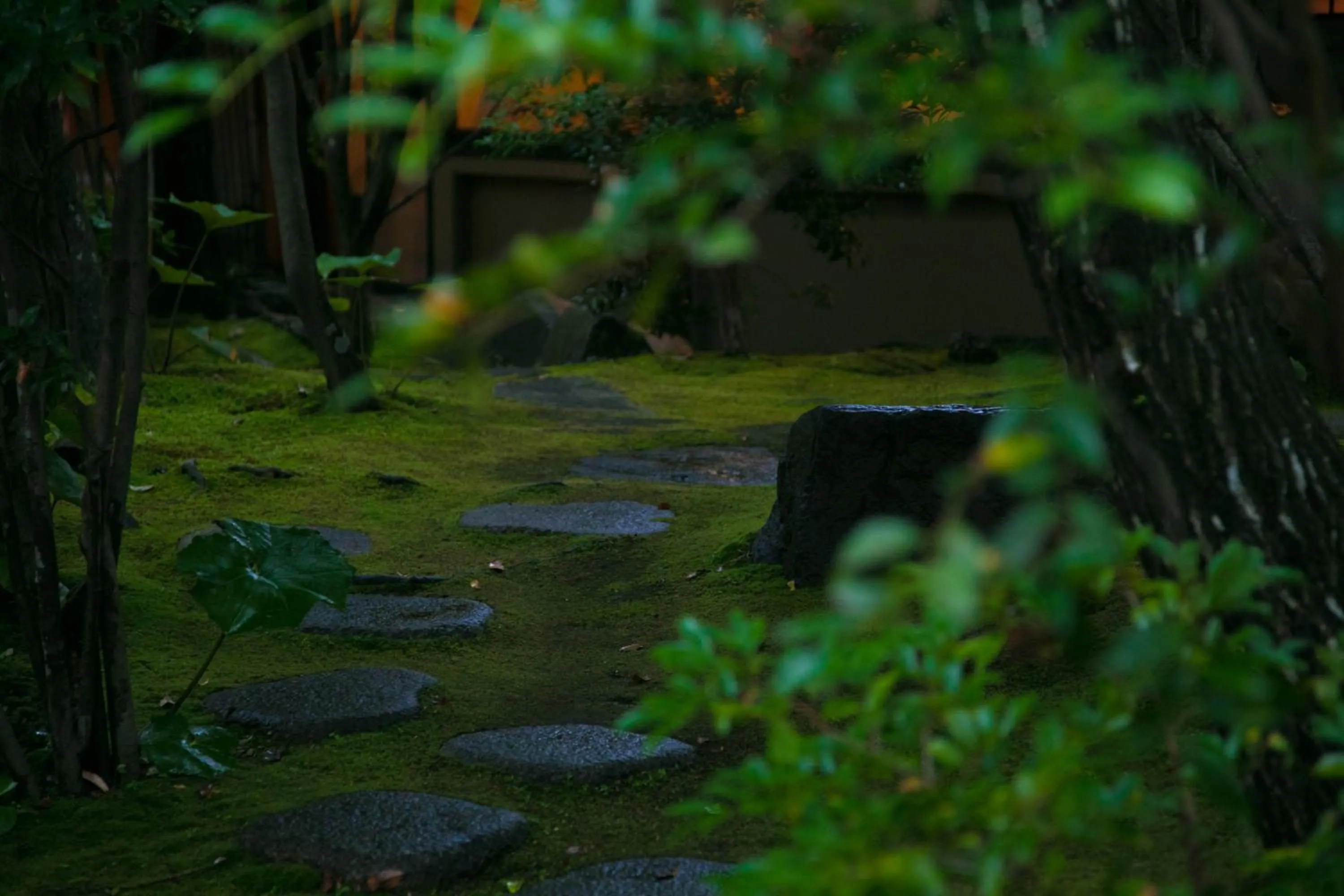Garden in Yakakutei