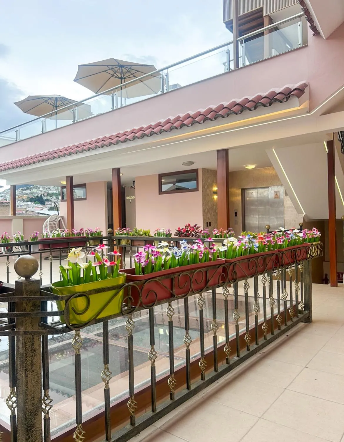 Restaurant/places to eat in Hotel Sucre