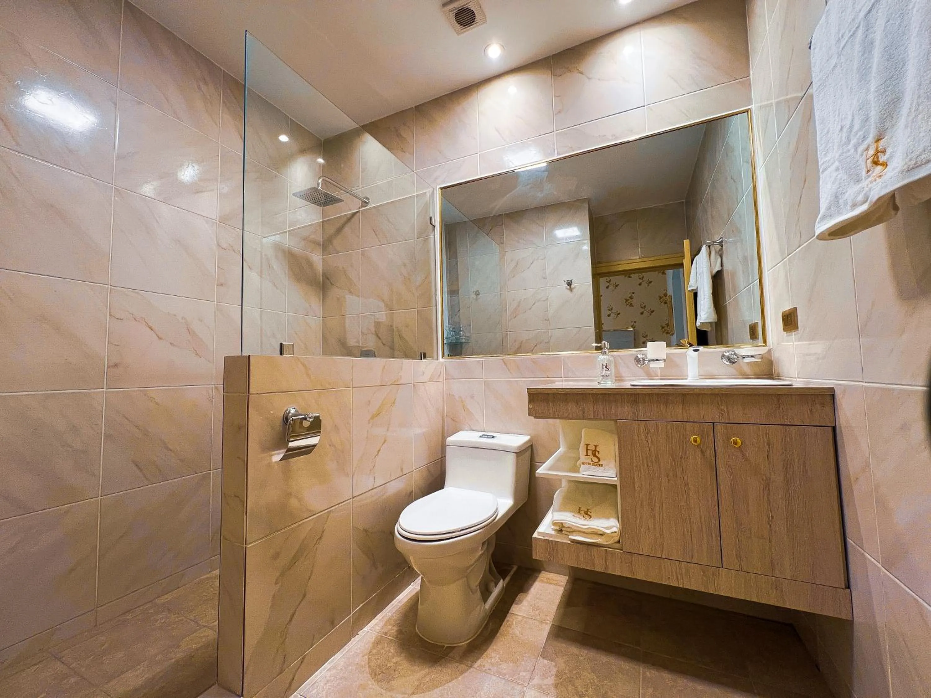 Toilet in Hotel Sucre