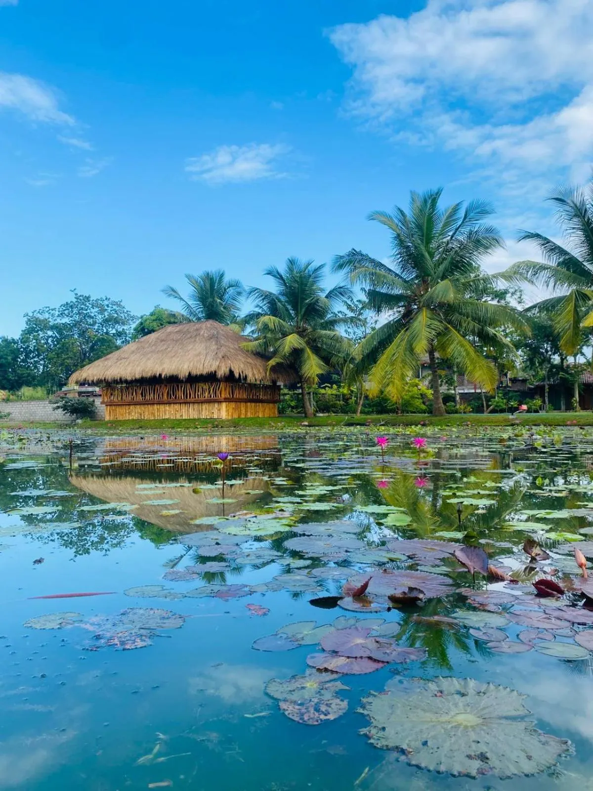 Lake view in Avasta Resort Wijaya Leisure