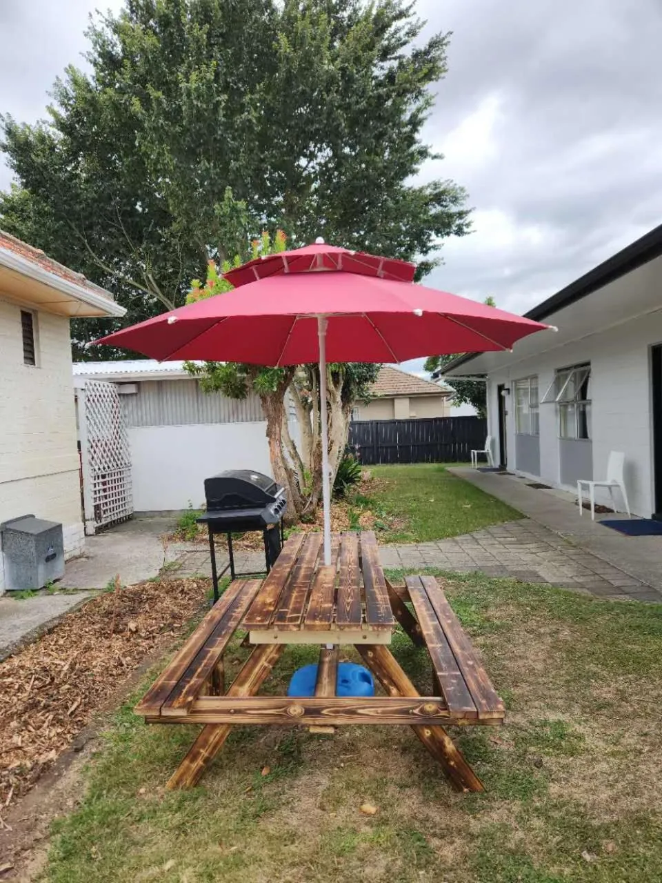 Garden in Cedar Lodge Motel Hamilton