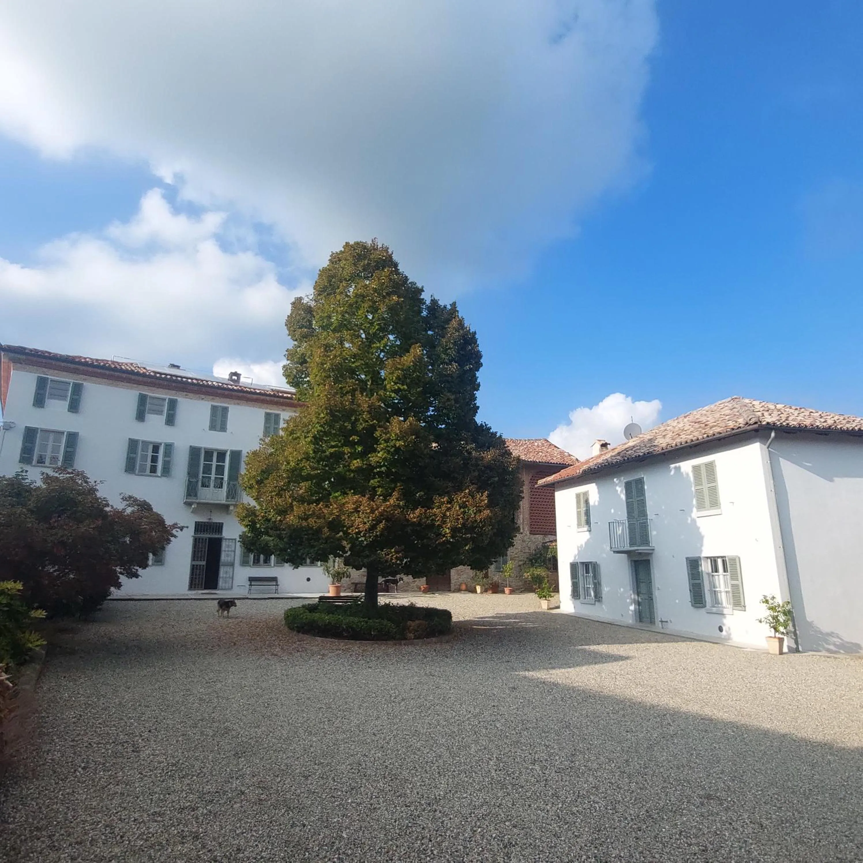 Inner courtyard view in Casa Rovelli
