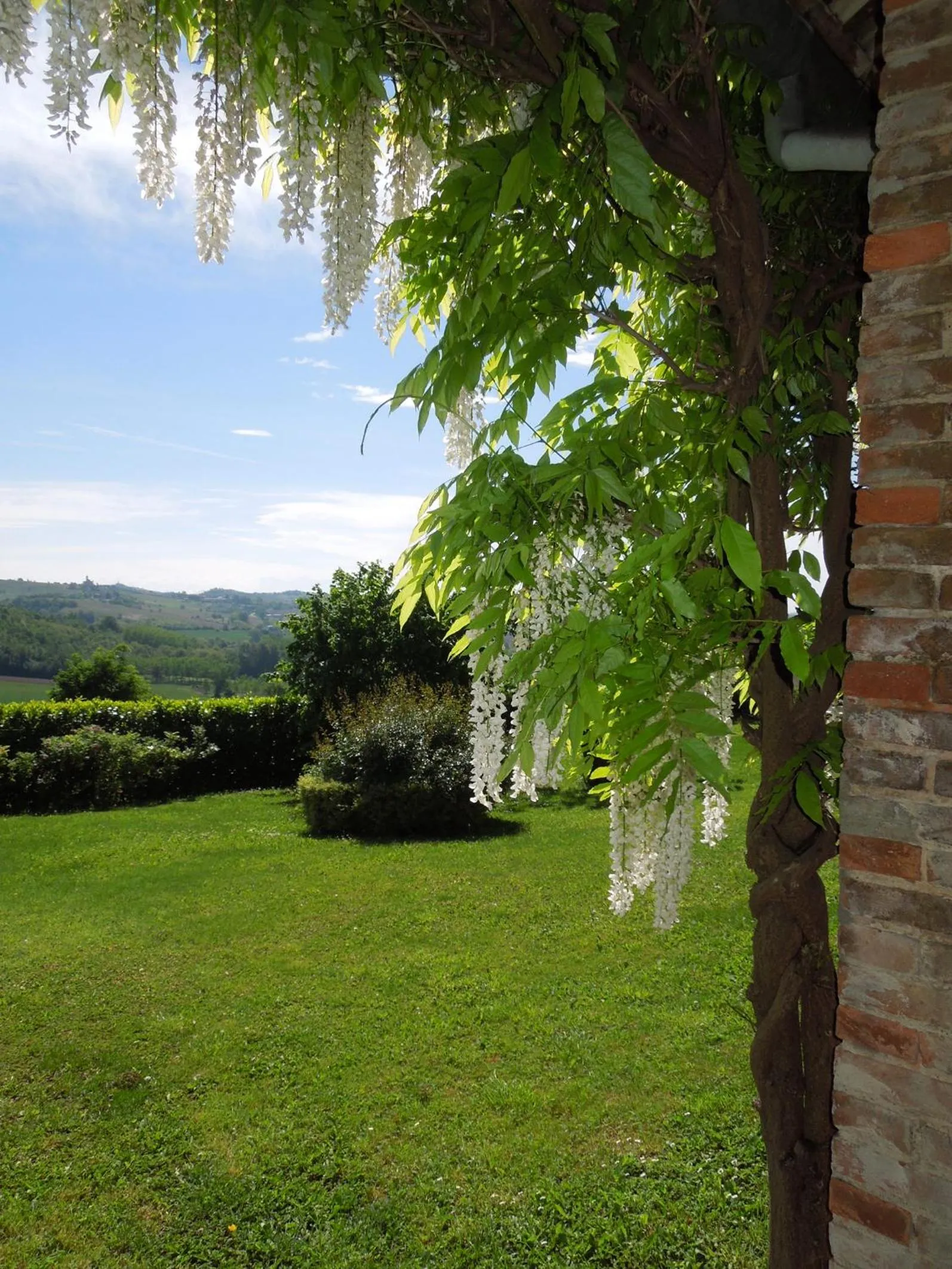 Garden view in Casa Rovelli