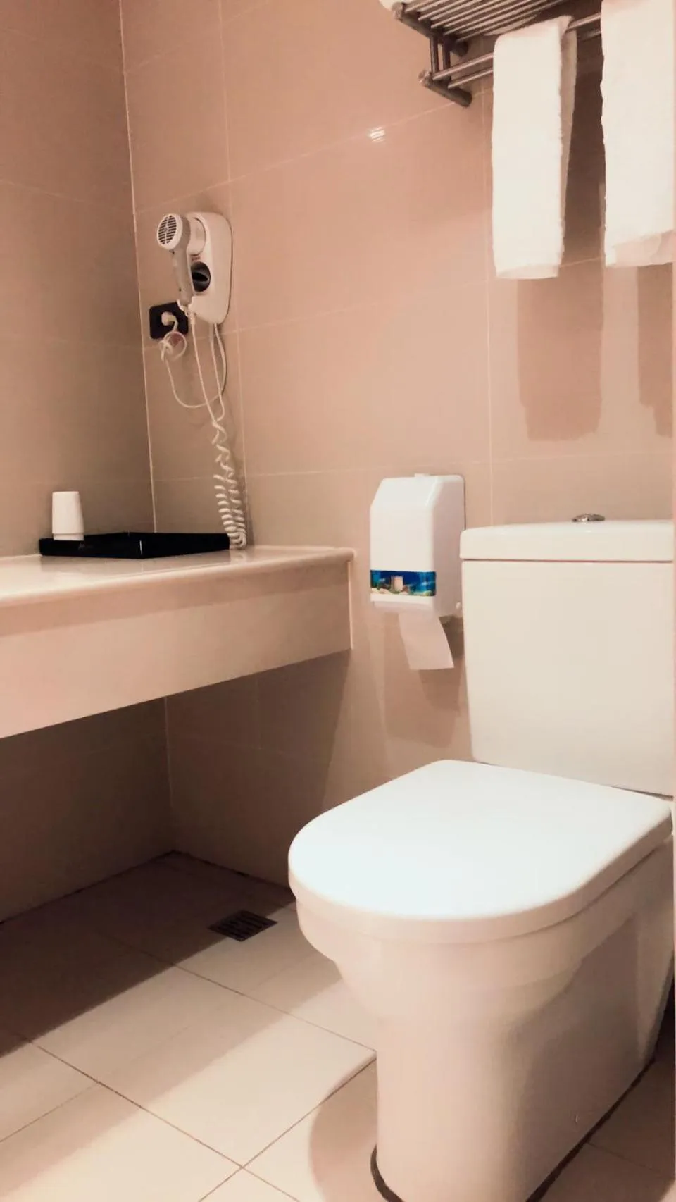 Toilet in Chiayi Oriental Pearl International Hotel