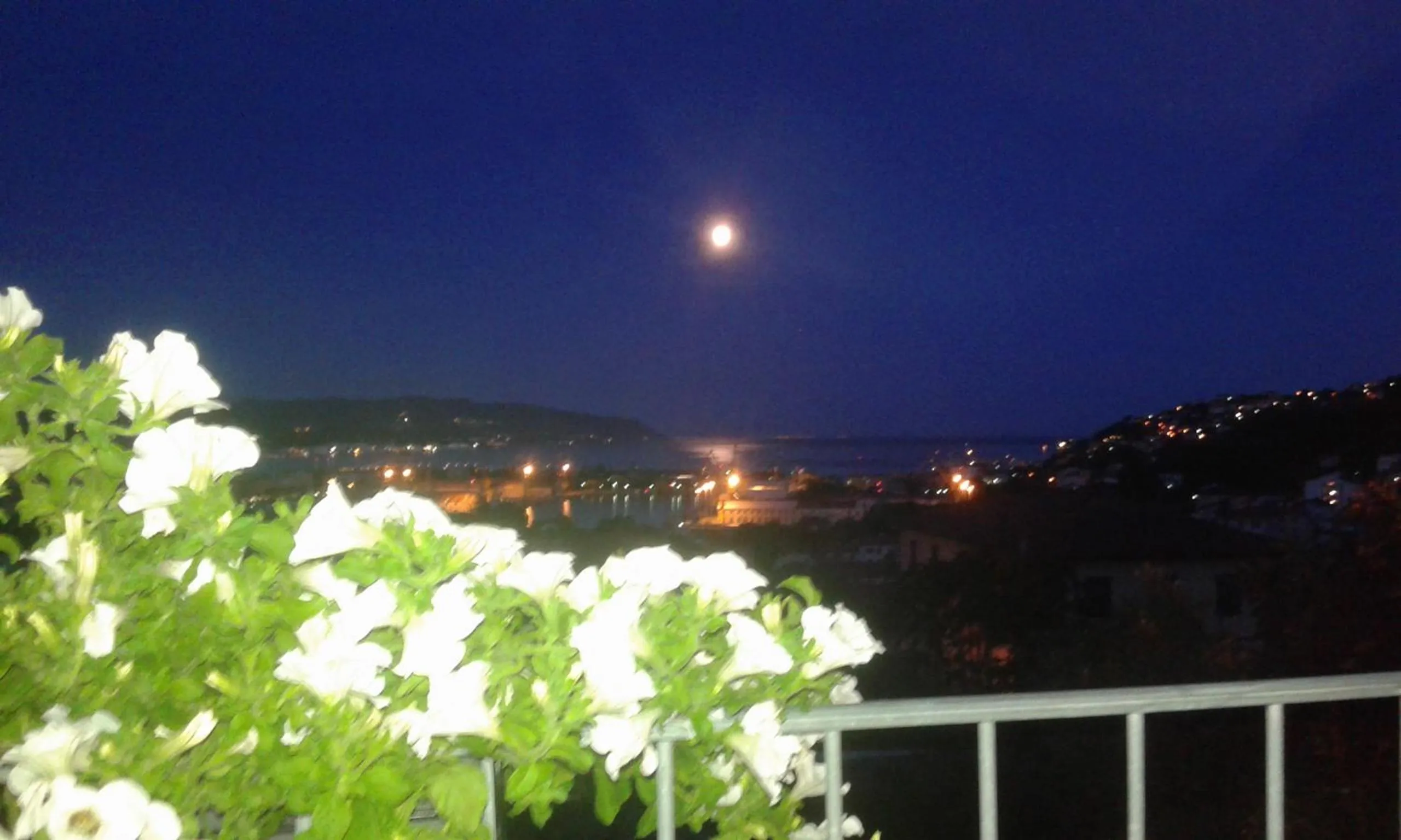 Spring in Dreams Guest House